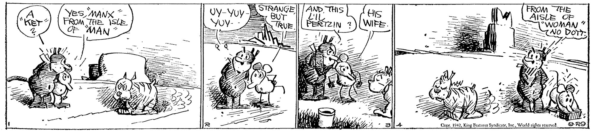 Art OCR: Yes MANX FROM THE ISLE OF MAN UY-YUY BUT Yuy- STRANGE AND THIS L'IL PERTZIN HIS WIFE FROM THE AISLE OF 1"WOMAN " NO DOTT"KET TRUE 9 R9 Copr. 1942World riglds rtared Yes MANX FROM THE ISLE OF MAN UY-YUY BUT Yuy- STRANGE AND THIS L'IL PERTZIN HIS WIFE FROM THE AISLE OF 1"WOMAN " NO DOTT"KET TRUE 9 R9 Copr. 1942King Features SyndicateWorld riglds rtared