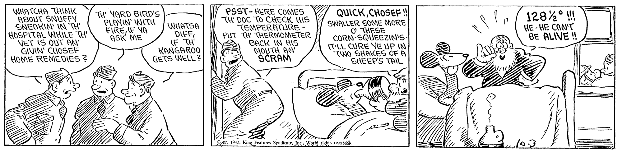 Parallel OCR: QUICKCHOSEF! WHATCHA THINK ABOUT SNUFFY SNEAKIN' IN TH HOSPITAL WHILE TH VET IS OUT AN GIVIN' CHOSEF HOME REMEDIES ? TH YARD BIRD'S PLAYIN' WITH FIREF YO ASK ME WHATSA DIFF(F TH' KANGAROO GETS WELL ? PSST-HERE COMES TH DOC TO CHECK HIS TEMPERATURE PUT TH THERMOMETER BACK IN HS MOUTH AN SCRAM SWALLER SOME MORE O THESE CORN SQUEEZIN'S IT'LL CURE YE UP IN TWO SHAKES OF A SHEEP'S TAIL 128%° ! HE - HE CAN'T BE ALIVE ! Cupe. 1942. King Veatures SyndicateInc. World rishts reseryede QUICKCHOSEF! WHATCHA THINK ABOUT SNUFFY SNEAKIN' IN TH HOSPITAL WHILE TH VET IS OUT AN GIVIN' CHOSEF HOME REMEDIES ? TH YARD BIRD'S PLAYIN' WITH FIREF YO ASK ME WHATSA DIFF(F TH' KANGAROO GETS WELL ? PSST-HERE COMES TH DOC TO CHECK HIS TEMPERATURE PUT TH THERMOMETER BACK IN HS MOUTH AN SCRAM SWALLER SOME MORE O THESE CORN SQUEEZIN'S IT'LL CURE YE UP IN TWO SHAKES OF A SHEEP'S TAIL 128%° ! HE - HE CAN'T BE ALIVE ! Cupe. 1942. King Veatures SyndicateInc. World rishts reseryede