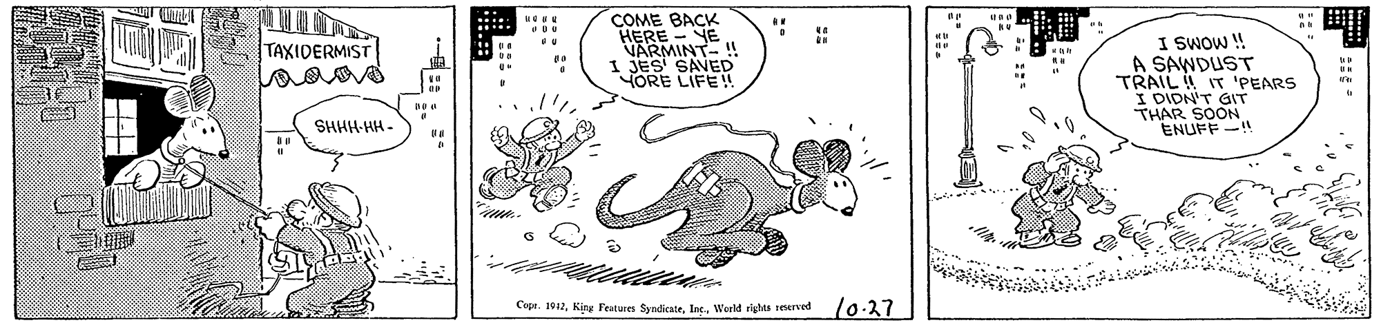 Terrestrial animal OCR: COME BACK HERE - YE VARMINT- ! 1 JES SAVED YORE LIFE! I SWOW ! A SAWDUST TRAIL IT 'PEARS I DIDN'T GIT THAR SOON ENUFF-!! TAXIDERMIST SHHH-HH - Cepe. 1912World righas seserved 10-27 COME BACK HERE - YE VARMINT- ! 1 JES SAVED YORE LIFE! I SWOW ! A SAWDUST TRAIL IT 'PEARS I DIDN'T GIT THAR SOON ENUFF-!! TAXIDERMIST SHHH-HH - Cepe. 1912King Features SyndicateWorld righas seserved 10-27