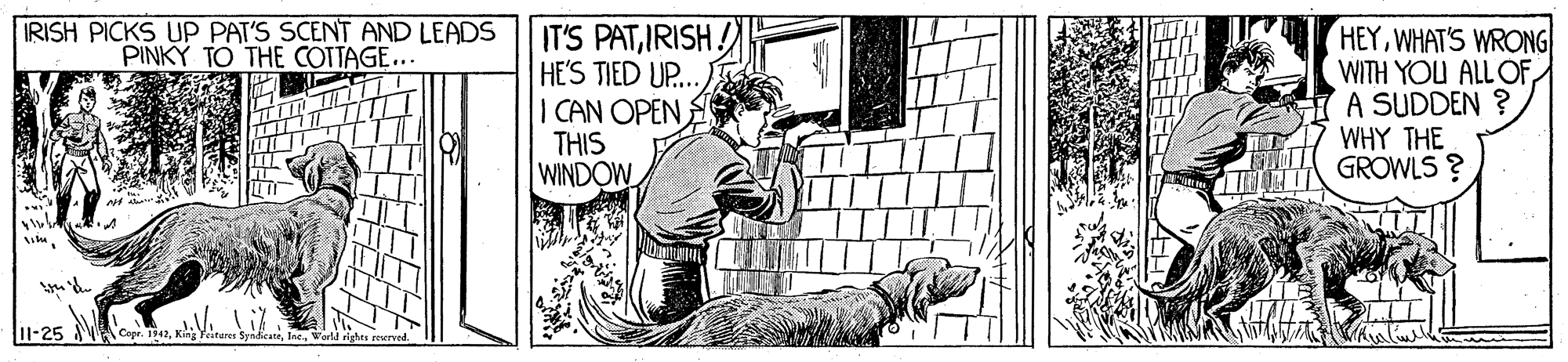 Art OCR: RISH PICKS Up PAT'S SCENT AND LEADS PINKY TO THE COTTAGE.. IT'S PATIRISH! HE'S TIED UP... I CAN OPEN THIS WINDOW HEYWHAT'S WRONG WITH YOU ALLOF A SUDDEN ? WHY THE GROWLS ? TI RISH PICKS Up PAT'S SCENT AND LEADS PINKY TO THE COTTAGE.. IT'S PATIRISH! HE'S TIED UP... I CAN OPEN THIS WINDOW HEYWHAT'S WRONG WITH YOU ALLOF A SUDDEN ? WHY THE GROWLS ? TI