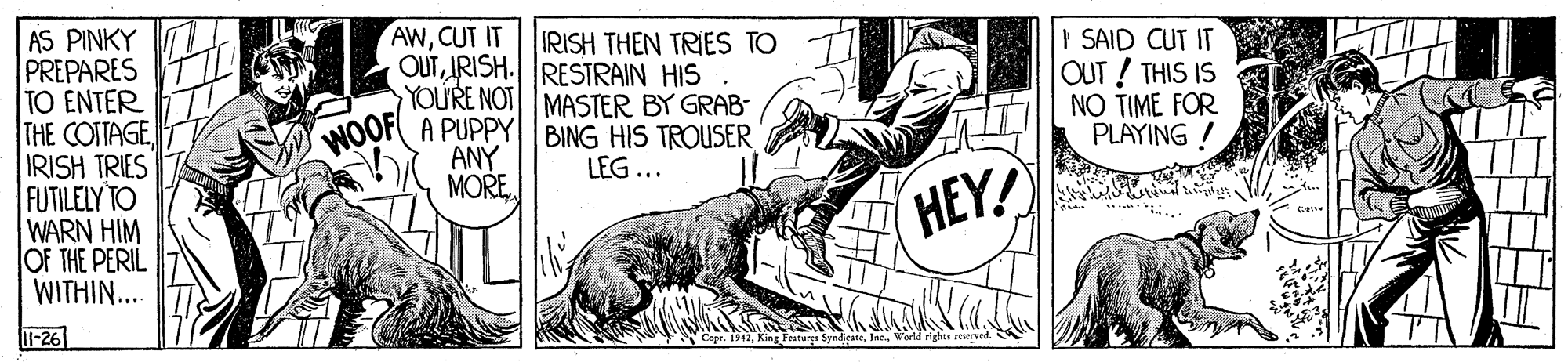 Working animal OCR: AS PINKY PREPARES TO ENTER THE COTTAGE IRISH TRIES FUTILELY TO WARN HIM OF THE PERIL WITHIN... AWCUT IT IRISH THEN TRIES TO OUTIRISH. RESTRAIN HIS WOOF YOU'RE NOT MASTER BY GRAB- A PUPPY BING HIS TROUSER ANY MOREI SAID CUT IT OUT ! THIS IS NO TIME FOR PLAYING ! LEG ... HEY! IT-26 SyndicateInc. verd righre reerved AS PINKY PREPARES TO ENTER THE COTTAGE IRISH TRIES FUTILELY TO WARN HIM OF THE PERIL WITHIN... AWCUT IT IRISH THEN TRIES TO OUTIRISH. RESTRAIN HIS WOOF YOU'RE NOT MASTER BY GRAB- A PUPPY BING HIS TROUSER ANY MOREI SAID CUT IT OUT ! THIS IS NO TIME FOR PLAYING ! LEG ... HEY! IT-26 SyndicateInc. verd righre reerved