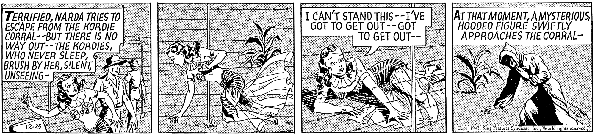 Line art OCR: I CAN'T STAND THIS --I'VE GOT TO GET OUT--GOT TO GET OUT-- AT THAT MOMENTHOODED FIGURE SWIFTLY APPROACHES THE CORRAL- TERRIFIEDNARDA TRIES TO ESCAPE FROM TH? KORDIE CORRAL--BUT THERE IS NO WAY OUT--THE KORDIESG BRUSH BY HERS!LENT UNSEEING- 12-23 Copr 1942World ghes rcserved I CAN'T STAND THIS --I'VE GOT TO GET OUT--GOT TO GET OUT-- AT THAT MOMENTHOODED FIGURE SWIFTLY APPROACHES THE CORRAL- TERRIFIEDNARDA TRIES TO ESCAPE FROM TH? KORDIE CORRAL--BUT THERE IS NO WAY OUT--THE KORDIESWHO NEVER SLEEPG BRUSH BY HERS!LENT UNSEEING- 12-23 Copr 1942King Features SyndicateWorld ghes rcserved