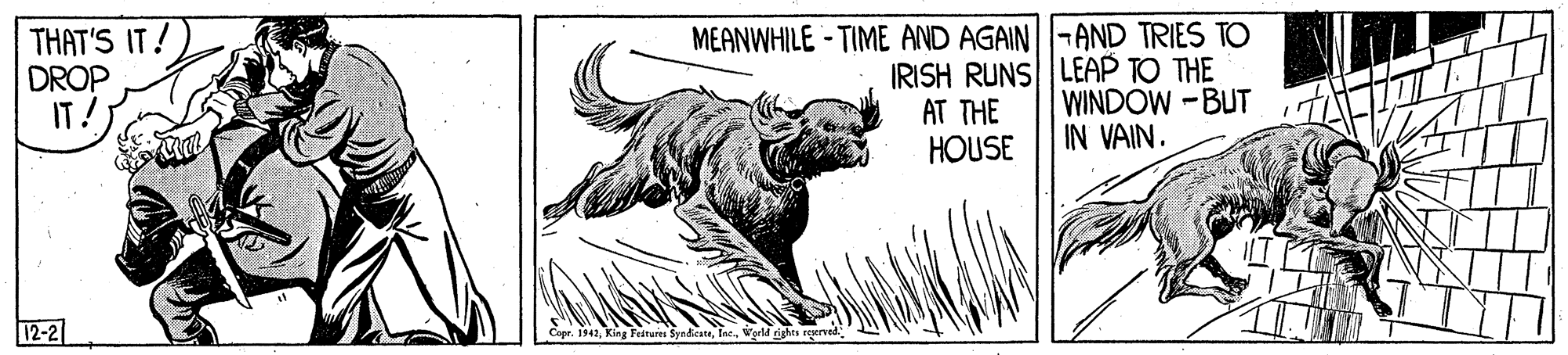 Illustration OCR: THAT'S IT! DROP IT! MEANWHILE - TIME AND AGAIN-AND TRIES TO IRISH RUNS LEAP TO THE AT THE HOUSE WINDOW -BUT IN VAIN. 12-2 Cepr. 1942erli dighes reered" THAT'S IT! DROP IT! MEANWHILE - TIME AND AGAIN-AND TRIES TO IRISH RUNS LEAP TO THE AT THE HOUSE WINDOW -BUT IN VAIN. 12-2 Cepr. 1942King Fiturs Syndicateerli dighes reered"