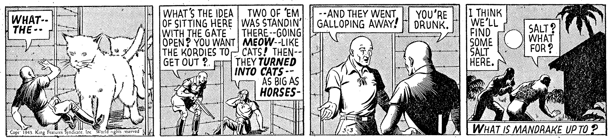 Parallel OCR: WHAT'S THE IDEA TWO OF 'EM OF SITTING HERE WAS STANDIN' THERE--GOING OPEN? YOU WANT MEOW--LIKE THE KORDIES TO CATS! THEN-- THEY TURNED INTO CATS-- AS BIG AS HORSES- 1 ?HINK WE'LL FIND SOME SALT HERE. WHAT-- THE -- --AND THEY WENTGALLOPING AWAY! YOU'RE DRUNK. SALT? WHAT FOR ? WITH THE GATE GET OUT ?. T WHAT IS MANDRAKE UP TO ? Cope 194) King Peatures SyndicateWorld rights reserved WHAT'S THE IDEA TWO OF 'EM OF SITTING HERE WAS STANDIN' THERE--GOING OPEN? YOU WANT MEOW--LIKE THE KORDIES TO CATS! THEN-- THEY TURNED INTO CATS-- AS BIG AS HORSES- 1 ?HINK WE'LL FIND SOME SALT HERE. WHAT-- THE -- --AND THEY WENTGALLOPING AWAY! YOU'RE DRUNK. SALT? WHAT FOR ? WITH THE GATE GET OUT ?. T WHAT IS MANDRAKE UP TO ? Cope 194) King Peatures SyndicateWorld rights reserved