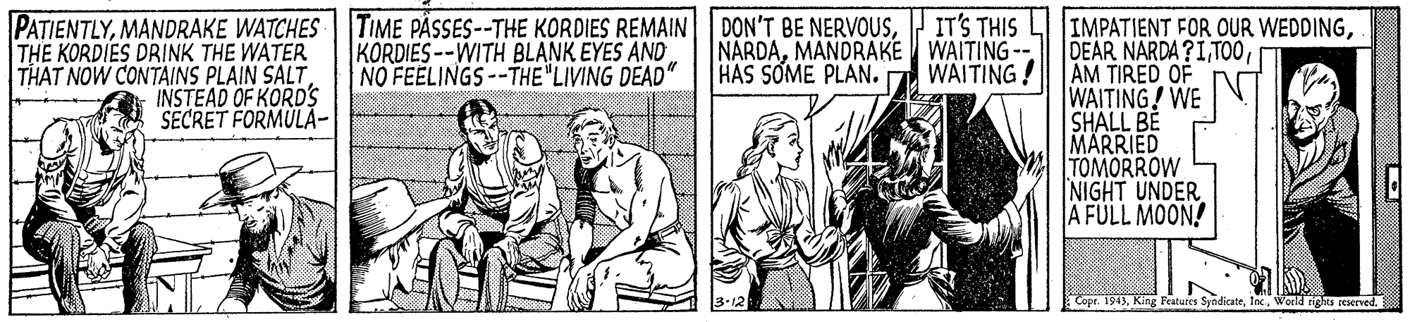 Illustration OCR: PATIENTLYKORDIES --WITH BLANK EYES AND NO FEELINGS--THE"LIVING DEAD" IT'S THIS NARDAMANDRAKE WAITING -- WAITING! IMPATIENT FOR OUR WEDDINGAM TIRED OF WAITING! WE SHALL BE MARRIED TOMORROW NIGHT UNDER A FULL MOON! THE KORDIES DRINK THE WATER THAT NOW CONTAINS PLAIN SALT INSTEAD OF KORD'S SECRET FORMULA- HAS SOME PLAN. Copr. 1943World rights eserved. PATIENTLYMANDRAKE WATCHES| TIME PÄSSES--THE KORDIES REMAIN D?N'T BE NERVOUSKORDIES --WITH BLANK EYES AND NO FEELINGS--THE"LIVING DEAD" IT'S THIS NARDAMANDRAKE WAITING -- WAITING! IMPATIENT FOR OUR WEDDINGDEAR NARDA ?1AM TIRED OF WAITING! WE SHALL BE MARRIED TOMORROW NIGHT UNDER A FULL MOON! THE KORDIES DRINK THE WATER THAT NOW CONTAINS PLAIN SALT INSTEAD OF KORD'S SECRET FORMULA- HAS SOME PLAN. Copr. 1943King Features SyndicateWorld rights eserved.