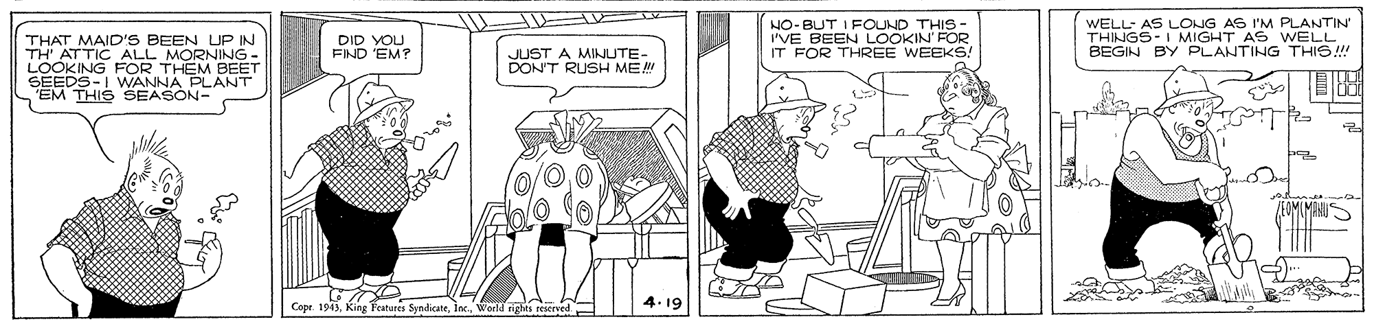 Line OCR: NO-BUT I FOUND THIS - I'VE BEEN LOOKIN' FOR IT FOR THREE WEEKS! WELL- AS LONG AS I'M PLANTIN' THINGS-I MIGHT AS WELL BEGIN BY PLANTING THIS!! THAT MAID'S BEEN UP IN TH' ATTIC ALL MORNING - LOOKING FOR THEM BEET SEEDS-I WANNA PLANT EM THIS SEASON- DID YOU FIND 'EM? JUST A MINUTE- DON'T RUSH ME JEOMIMAIS Cope. 1943Inc. weld rights reserved 4.19 NO-BUT I FOUND THIS - I'VE BEEN LOOKIN' FOR IT FOR THREE WEEKS! WELL- AS LONG AS I'M PLANTIN' THINGS-I MIGHT AS WELL BEGIN BY PLANTING THIS!! THAT MAID'S BEEN UP IN TH' ATTIC ALL MORNING - LOOKING FOR THEM BEET SEEDS-I WANNA PLANT EM THIS SEASON- DID YOU FIND 'EM? JUST A MINUTE- DON'T RUSH ME JEOMIMAIS Cope. 1943King Features SyndicateInc. weld rights reserved 4.19