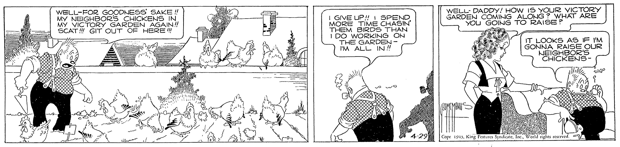 Adaptation OCR: WELL-FOR GOODNESS SAKE ! MY NEIGHEORS CHICKENS IN VICTORY GARDEN AGAIN! SCAT ! GIT OUT OF HERE ! GIVE UP! I SPENDMORE TIME CHASIN THEM BIRDS THAN I DO WORKING ON THE GARDEN I'M ALL IN! WELL- DADDY! HOW IS YOUR VICTORY GARDEN COMING ALONG ? WHAT ARE YOU GOING TO RAISE? IT LOOKS AS IF I'M GONNA RAISE OUR P ABOKA- 4:29 Cope 1943World rights eescrved. WELL-FOR GOODNESS SAKE ! MY NEIGHEORS CHICKENS IN VICTORY GARDEN AGAIN! SCAT ! GIT OUT OF HERE ! GIVE UP! I SPENDMORE TIME CHASIN THEM BIRDS THAN I DO WORKING ON THE GARDEN I'M ALL IN! WELL- DADDY! HOW IS YOUR VICTORY GARDEN COMING ALONG ? WHAT ARE YOU GOING TO RAISE? IT LOOKS AS IF I'M GONNA RAISE OUR P ABOKA- 4:29 Cope 1943King Festures SyndicateWorld rights eescrved.