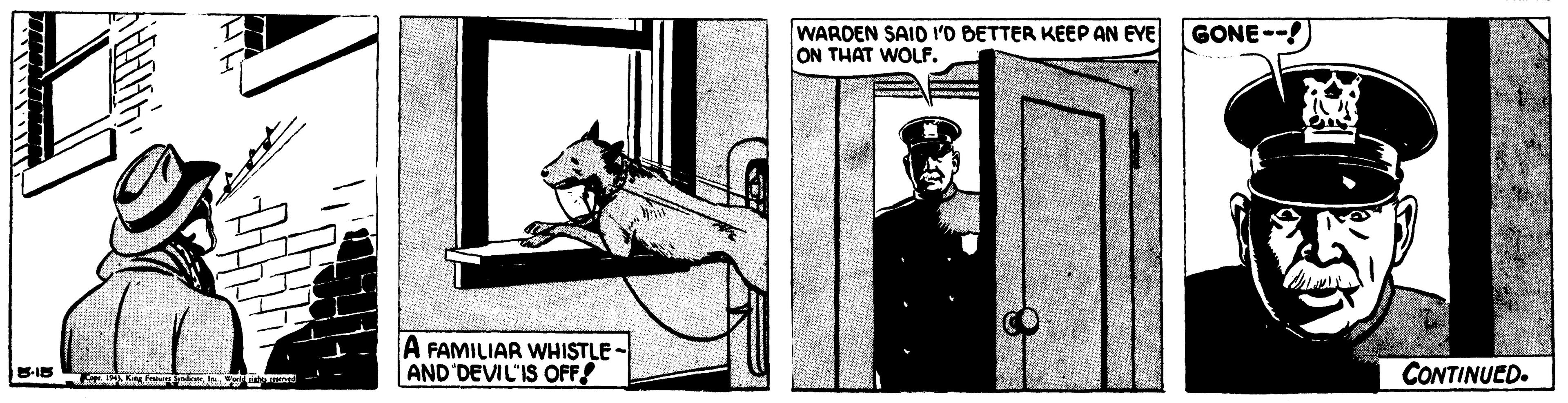 Small to medium-sized cats OCR: WARDEN SAIO l'O BETTER KEEP AN EVE ON THAT WOLF. GONE--!) A FAMILIAR WHISTLE - AND DEVIL'IS OFF! CONTINUED. WARDEN SAIO l'O BETTER KEEP AN EVE ON THAT WOLF. GONE--!) A FAMILIAR WHISTLE - AND DEVIL'IS OFF! CONTINUED.