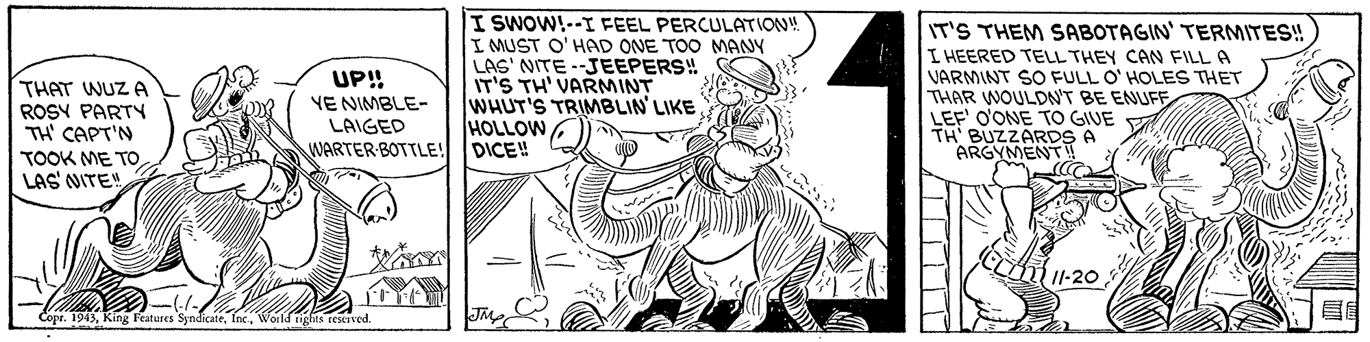 Illustration OCR: THAT WUZ A ROSY PARTY TH' CAPT'N TOOK ME TO LAS' NITE! UP! YE NIMBLE- LAIGED WARTER BOTTLE! I SWOW!--I FEEL PERCULATION! I MUST O'HAD ONE TOO MANY LAS' NITE --JEEPERS! IT'S TH' VARNMINT WHUT'S TRIMBLIN'LIKE HOLLOW DICE! IT'S THEM SABOTAGIN' TERMITES! I HEERED TELL THEY CAN FILL A VARMINT SO FULL O' HOLES THET THAR WOULDN'T BE ENUFF LEF' O'ONE TO GIUE TH' BUZZARDS A ARGYMENT! Copr. 1943World rights reserved. THAT WUZ A ROSY PARTY TH' CAPT'N TOOK ME TO LAS' NITE! UP! YE NIMBLE- LAIGED WARTER BOTTLE! I SWOW!--I FEEL PERCULATION! I MUST O'HAD ONE TOO MANY LAS' NITE --JEEPERS! IT'S TH' VARNMINT WHUT'S TRIMBLIN'LIKE HOLLOW DICE! IT'S THEM SABOTAGIN' TERMITES! I HEERED TELL THEY CAN FILL A VARMINT SO FULL O' HOLES THET THAR WOULDN'T BE ENUFF LEF' O'ONE TO GIUE TH' BUZZARDS A ARGYMENT! Copr. 1943King Features SyndicateWorld rights reserved.