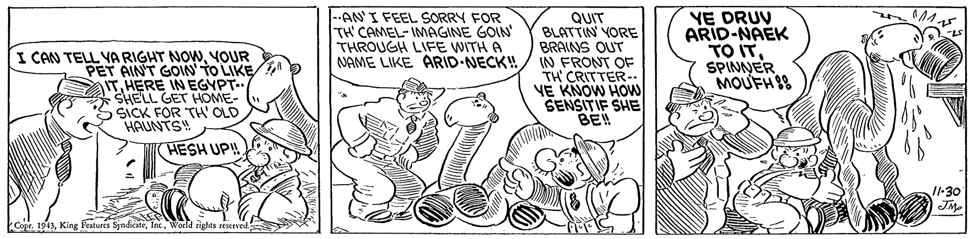 Line OCR: I CAN TELL YA RIGHT NOWYOUR PET AIN'T GOIN' TO LIKE ITHERE IN EGYPT.. SHELL GET HOME- SICK FOR TH' OLD HAUNTS! |--AN'I FEEL SORRY FOR TH' CAMEL-IMAGINE GOIN' THROUGH LIFE WITH A NAME LIKE ARID NECK! QUIT BLATTIN YORE BRAINS OUT IN FRONT OF TH' CRITTER-- VE KNOW HOw SENSITIF SHE BE! YE DRUV ARID-NAEK TO ITSPINNER MOUFH 88 HESH UP!! I1-30 Copr. 1943World rights sescrved. I CAN TELL YA RIGHT NOWYOUR PET AIN'T GOIN' TO LIKE ITHERE IN EGYPT.. SHELL GET HOME- SICK FOR TH' OLD HAUNTS! |--AN'I FEEL SORRY FOR TH' CAMEL-IMAGINE GOIN' THROUGH LIFE WITH A NAME LIKE ARID NECK! QUIT BLATTIN YORE BRAINS OUT IN FRONT OF TH' CRITTER-- VE KNOW HOw SENSITIF SHE BE! YE DRUV ARID-NAEK TO ITSPINNER MOUFH 88 HESH UP!! I1-30 Copr. 1943King Features SyndicateWorld rights sescrved.