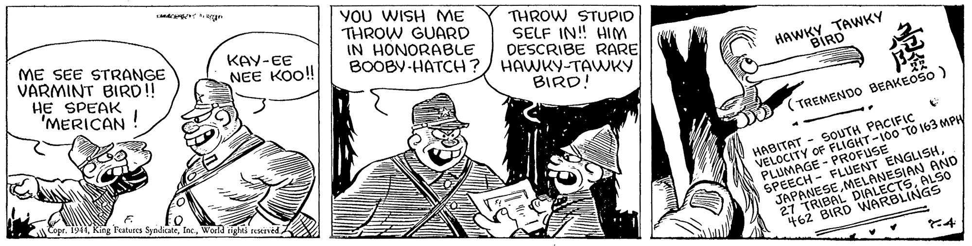 Fictional character OCR: ME SEE STRANGE VARMINT BIRD! HE SPEAK 'MERICAN YOU WISH ME THROW GUARD IN HONORABLE BOOBY-HATCH? THROW STUPID SELF IN! HIM DESCRIBE RARE HAWKY-TAWKY BIRD! KAY-EE HAWKY TAWKY BIRD NEE KO! (TREMENDO BEAKEOSO ) HABITAT - SOUTH PACIFIC VELOCITY OF FLIGHT-100 TO 163 MPH PLUMAGE - PROFUSE SPEECH - FLUENT ENGLISHMELANESIAN AND 27 TRIBAL DIALECTSALSO 462 BIRD WARBLINGS CoprWorld rights rescived 4 ME SEE STRANGE VARMINT BIRD! HE SPEAK 'MERICAN YOU WISH ME THROW GUARD IN HONORABLE BOOBY-HATCH? THROW STUPID SELF IN! HIM DESCRIBE RARE HAWKY-TAWKY BIRD! KAY-EE HAWKY TAWKY BIRD NEE KO! (TREMENDO BEAKEOSO ) HABITAT - SOUTH PACIFIC VELOCITY OF FLIGHT-100 TO 163 MPH PLUMAGE - PROFUSE SPEECH - FLUENT ENGLISHMELANESIAN AND 27 TRIBAL DIALECTSALSO 462 BIRD WARBLINGS CoprKing Features SyndicateWorld rights rescived 4
