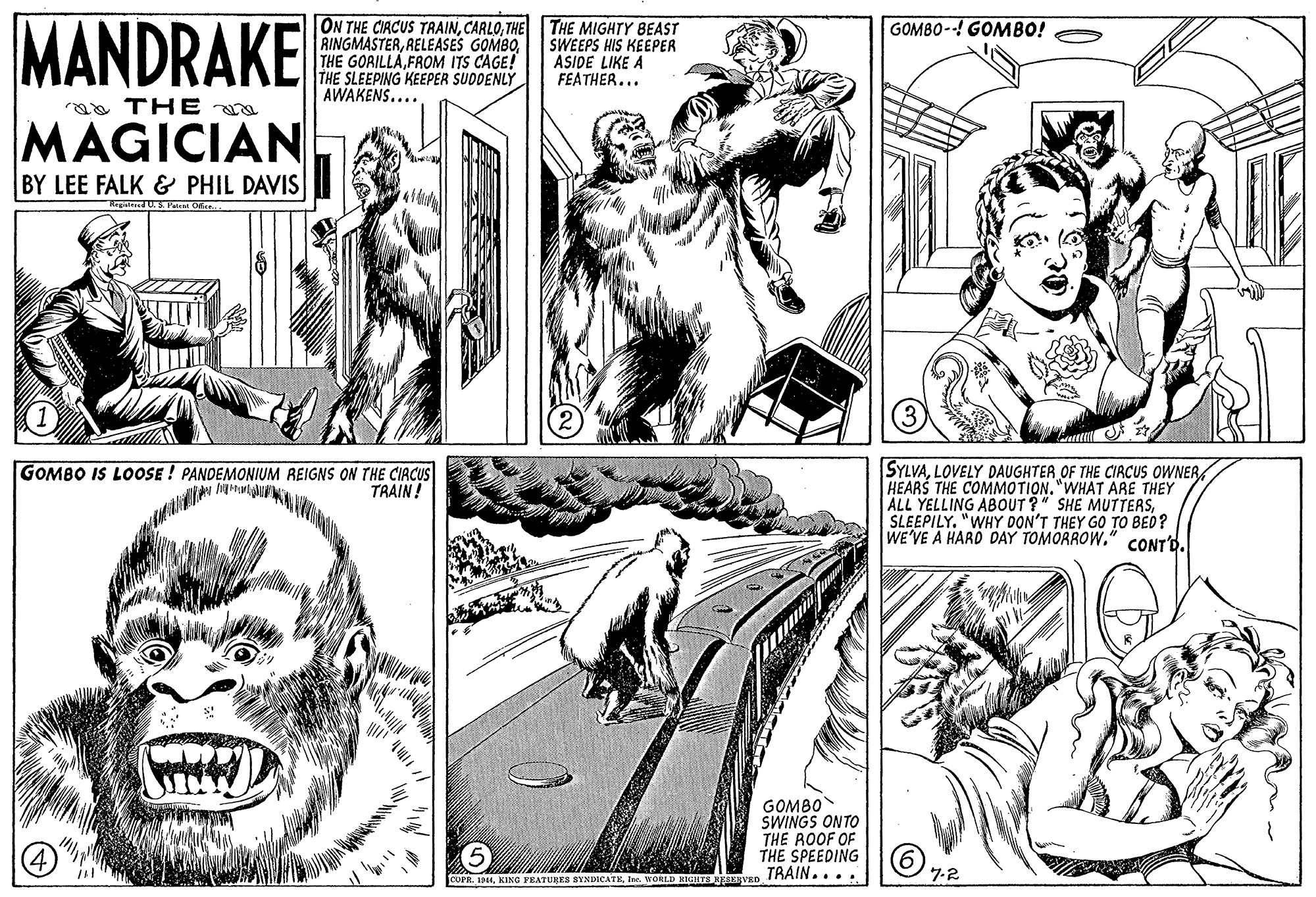 Mammal OCR: MANDRAKE ON THE CIACUS TRAINTHE THE MIGHTY BEAST RINGMASTERFROM ITS CAGE! THE SLEEPING KEEPER SUDDENLÝ AWAKENS.... GOMBO--! GOMBO! SWEEPS HIS KEEPER ASIDE LIKE A FEATHER... aa THE MAGICIAN BY LEE FALK & PHIL DAVIS SYLVAHEARŠ THE COMMOTION."WHAT ARE THEY ALL YELLING ABOUT ?" SHE MUTTERSSLEEPILY. "WHY DON'T THEY GO TO BED? WE'VE A HARD DAY TOMORROW." CONT'D. GOMBO IS LOOSE ! PANDEMONIUM REIGNS ON THE CIRCUS TRAIN! GOMBO SWINGS ONTO THE ROOF OF THE SPEEDING TRAIN.... CUPR. 1944Ia. WORLD HMGHTS RESKEVED 7-2 MANDRAKE ON THE CIACUS TRAINTHE THE MIGHTY BEAST RINGMASTERRELEASES GOMBOTHE GORILLAFROM ITS CAGE! THE SLEEPING KEEPER SUDDENLÝ AWAKENS.... GOMBO--! GOMBO! SWEEPS HIS KEEPER ASIDE LIKE A FEATHER... aa THE MAGICIAN BY LEE FALK & PHIL DAVIS SYLVALOVELY DAUGHTER OF THE CIRCUS OWNERHEARŠ THE COMMOTION."WHAT ARE THEY ALL YELLING ABOUT ?" SHE MUTTERSSLEEPILY. "WHY DON'T THEY GO TO BED? WE'VE A HARD DAY TOMORROW." CONT'D. GOMBO IS LOOSE ! PANDEMONIUM REIGNS ON THE CIRCUS TRAIN! GOMBO SWINGS ONTO THE ROOF OF THE SPEEDING TRAIN.... CUPR. 1944KING FEATURES SYNDICATEIa. WORLD HMGHTS RESKEVED 7-2