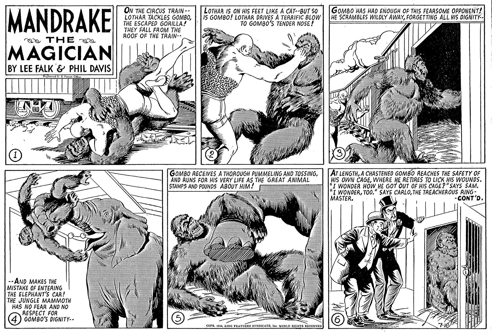 Parallel OCR: MANDRAKE ON THE CIRCUS TRAIN -- LOTHAR TACKLES GOMBOTHE ESCAPED GORILLA! THEY FALL FROM THE ROOF OF THE TRAIN- LOTHAR IS ON HIS FEET LIKE A CAT--BUT SO IS GOMBO! LOTHAR DRIVES A TERRIFIC BLOW TO GOMBO'S TENDER NOSE! GOMBO HAS HAD ENOUGH OF THIS FEARSOME OPPONENT! HE SCRAMBLES WILOLY AWAYFORGETTING ALL HIS DIGNITY-- aa THE MAGICIAN BY LEE FALK & PHIL DAVIS GOMBO RECEIVES A THOROUGH PUMMELING AND TOSSINGAND RUNS FOR HIS VEAY LIFE AS THE GREAT ANIMAL STAMPS AND POUNDS ABOUT HIM! AT LENGTHA CHASTENED GOMBO REACHES THE SAFETY OF HIS OWN CAGEWHERE HE RETIRES TO LICK HIS WOUNDS. "I WONDER HOW HE GOT OUT OF HIS CAGE?"SAYS SAM. "I WONDERTHE TREACHEROUS RING- MASTER. -CONT'D. --AND MAKES THE MISTAKE OF ENTERING THE ELEPHANT'S CAR! THE JUNGLE MAMMOTH HAS NO FEAR AND NO RESPECT FOR 4) GOMBO'S DIGNITY-- COPR. 1544Ie. WORLD RIGHTS BESERVED MANDRAKE ON THE CIRCUS TRAIN -- LOTHAR TACKLES GOMBOTHE ESCAPED GORILLA! THEY FALL FROM THE ROOF OF THE TRAIN- LOTHAR IS ON HIS FEET LIKE A CAT--BUT SO IS GOMBO! LOTHAR DRIVES A TERRIFIC BLOW TO GOMBO'S TENDER NOSE! GOMBO HAS HAD ENOUGH OF THIS FEARSOME OPPONENT! HE SCRAMBLES WILOLY AWAYFORGETTING ALL HIS DIGNITY-- aa THE MAGICIAN BY LEE FALK & PHIL DAVIS GOMBO RECEIVES A THOROUGH PUMMELING AND TOSSINGAND RUNS FOR HIS VEAY LIFE AS THE GREAT ANIMAL STAMPS AND POUNDS ABOUT HIM! AT LENGTHA CHASTENED GOMBO REACHES THE SAFETY OF HIS OWN CAGEWHERE HE RETIRES TO LICK HIS WOUNDS. "I WONDER HOW HE GOT OUT OF HIS CAGE?"SAYS SAM. "I WONDERTOo." SAYS CARLOTHE TREACHEROUS RING- MASTER. -CONT'D. --AND MAKES THE MISTAKE OF ENTERING THE ELEPHANT'S CAR! THE JUNGLE MAMMOTH HAS NO FEAR AND NO RESPECT FOR 4) GOMBO'S DIGNITY-- COPR. 1544KING FEATURES SYNDICATEIe. WORLD RIGHTS BESERVED