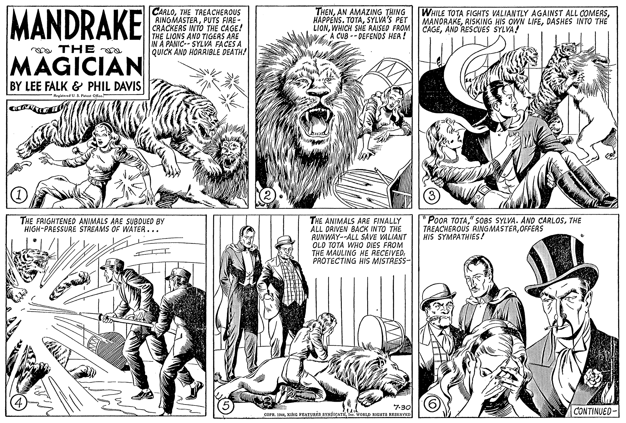 Comic book OCR: MANDRAKE CARLOTHE TAEACHEROUS RINGMASTERPUTS FIRE - CRACKERS INTO THE CAGE! THE LIONS ANO TIGERS ARE IN A PANIC-- SYLVA FACES A QUICK AND HORRIBLE DEATH! THENAN AMAZING THING HAPPENS. TOTASYLVA'S PET LIONWHICH SHE RAISED FROM A CUB --DEFENDS HER ! WHILE TOTA FIGHTS VALIANTLY AGAINST ALL COMERSDASHES INTO THE CAGEAND RESCUES SYLVA! a THE MAGICIAN BY LEE FALK & PHIL DAVIS Regitaed U S Petent Ofice.! THE FRIGHTENED ANIMALS AAE SUBDUED BY HIGH-PRESSURE STREAMS OF WATER... " PoOR TOTATHE TREACHEROUS RINGMASTEROFFERS HIS SYMPATHIES! THE ANIMALS ARE FINALLY ALL DRIVEN BACK INTO THE RUNWAY--ALL SAVE VALIANT OLO TOTA WHO DIES FROM THE MAULING HE RECEIVEDPROTECTING HIS MISTRESS- 7-30 CONTINUED- COPR. 19Ie. WORLD RIGHITS RESKRVED MANDRAKE CARLOTHE TAEACHEROUS RINGMASTERPUTS FIRE - CRACKERS INTO THE CAGE! THE LIONS ANO TIGERS ARE IN A PANIC-- SYLVA FACES A QUICK AND HORRIBLE DEATH! THENAN AMAZING THING HAPPENS. TOTASYLVA'S PET LIONWHICH SHE RAISED FROM A CUB --DEFENDS HER ! WHILE TOTA FIGHTS VALIANTLY AGAINST ALL COMERSRISKING HIS OWN LIFEDASHES INTO THE CAGEAND RESCUES SYLVA! a THE MAGICIAN BY LEE FALK & PHIL DAVIS Regitaed U S Petent Ofice.! THE FRIGHTENED ANIMALS AAE SUBDUED BY HIGH-PRESSURE STREAMS OF WATER... " PoOR TOTA" SOBS SYLVA. AND CARLOSTHE TREACHEROUS RINGMASTEROFFERS HIS SYMPATHIES! THE ANIMALS ARE FINALLY ALL DRIVEN BACK INTO THE RUNWAY--ALL SAVE VALIANT OLO TOTA WHO DIES FROM THE MAULING HE RECEIVEDPROTECTING HIS MISTRESS- 7-30 CONTINUED- COPR. 19KING PEATURES SYNDICATEIe. WORLD RIGHITS RESKRVED