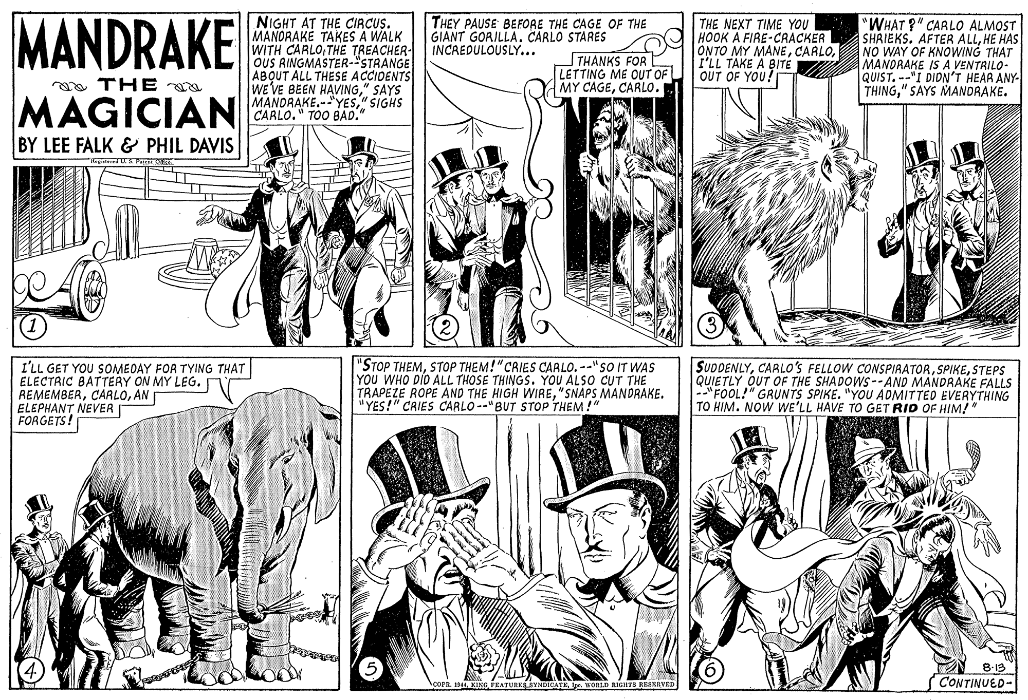 Organism OCR: MANDRAKE NIGHT AT THE CIRCUS. MANORAKE TAKES A WALK WITH CARLOTHE TREACHER- OUS RINGMASTER-"STRANGE ABOUT ALL THESE ACCIDENTS WE VE BEEN HAVING" SAYS MANDRAKE.-"YES" SIGHS CARLO." TOO BAD. THEY PAUSE BEFORE THE CAGE OF THE GIANT GORILLA. CARLO STARES INCREDULOUSLY... THANKS FOR LETTING ME OUT OF MY CAGECARLO. THE NEXT TIME YOU HOOK A FIRE-CRACKER ONTO MY MANEI'LL TAKE A BITE OUT OF YOU! "WHAT ?" CARLO ALMOST SHRIEKS. AFTER ALLHE HAS NO WAY OF KNOWING THAT MANORAKE IS A VENTRILO- QUIST. --"I DIDN'T HEAR ANY- THING" SAYS MANDRAKE. a THE a MAGICIAN BY LEE FALK & PHIL DAVIS 3. Muc 1) I'LL GET YOU SOMEDAY FOR TYING THAT ELECTRIC BATTERY ON MY LEG. n REMEMBERAN ELEPHANT NEVER FORGETS! "STOP THEMSTOP THEM!"CRIES CARLO. --"sO IT WAS YOU WHO DIO ALL THOSE THINGS. YOU ALSO CUT THE TRAPEZE ROPE AND THE HIGH WIRE"SNAPS MANDRAKE. "YES!" CRIES CARLO --"BUT STOP THEM!" SUDDENLYSTEPS QUIETLY OUT OF THE SHADOWS--AND MANDRAKE FALLS "FOOL!" GRUNTS SPIKE. "YOU ADMITTED EVERYTHING TO HIM. NOW WE'LL HAVE TO GET RID OF HIM!" 8-13 oor CONTINUED- COPR. 1944r. WORLD RIGHaTS RESKRVED MANDRAKE NIGHT AT THE CIRCUS. MANORAKE TAKES A WALK WITH CARLOTHE TREACHER- OUS RINGMASTER-"STRANGE ABOUT ALL THESE ACCIDENTS WE VE BEEN HAVING" SAYS MANDRAKE.-"YES" SIGHS CARLO." TOO BAD. THEY PAUSE BEFORE THE CAGE OF THE GIANT GORILLA. CARLO STARES INCREDULOUSLY... THANKS FOR LETTING ME OUT OF MY CAGECARLO. THE NEXT TIME YOU HOOK A FIRE-CRACKER ONTO MY MANEI'LL TAKE A BITE OUT OF YOU! "WHAT ?" CARLO ALMOST SHRIEKS. AFTER ALLHE HAS NO WAY OF KNOWING THAT MANORAKE IS A VENTRILO- QUIST. --"I DIDN'T HEAR ANY- THING" SAYS MANDRAKE. a THE a MAGICIAN BY LEE FALK & PHIL DAVIS 3. Muc 1) I'LL GET YOU SOMEDAY FOR TYING THAT ELECTRIC BATTERY ON MY LEG. n REMEMBERAN ELEPHANT NEVER FORGETS! "STOP THEMSTOP THEM!"CRIES CARLO. --"sO IT WAS YOU WHO DIO ALL THOSE THINGS. YOU ALSO CUT THE TRAPEZE ROPE AND THE HIGH WIRE"SNAPS MANDRAKE. "YES!" CRIES CARLO --"BUT STOP THEM!" SUDDENLYCARLO'S FELLOW CONSPIRATORSTEPS QUIETLY OUT OF THE SHADOWS--AND MANDRAKE FALLS "FOOL!" GRUNTS SPIKE. "YOU ADMITTED EVERYTHING TO HIM. NOW WE'LL HAVE TO GET RID OF HIM!" 8-13 oor CONTINUED- COPR. 1944r. WORLD RIGHaTS RESKRVED