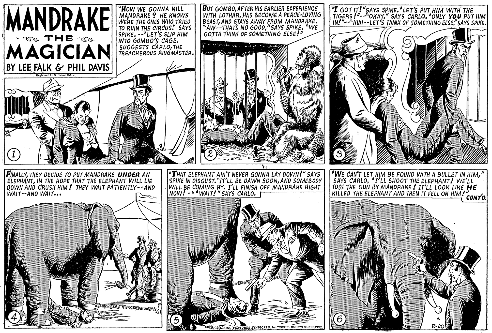 Font OCR: MANDRAKE "How WE GONNA KILL MANDRAKE ? HE KNOWS WERE THE ONES WHO TRIED TO RUIN THE CIRCUS." SAYS SPIKE. --"LET'S SLIP HIM INTO GOMBO'S CAGETHE TREACHEROUS AINGMASTER. BUT GOMBOAFTER HIS EARLIER EXPERIENCE WITH LOTHARHAS BECOME A PEACE-LOVING BEASTAND STAYS AWAY FROM MANDRAKE. "AW--THATS NO GOOD"SAYS SPIKE. "WE GOTTA THINK OF SOMETHING ELSE!" "I GOT IT!"SAYS SPIKE."LET'S PUT HIM WITH THE TIGERS !"--"OKAY" SAYS CARLO."ONLY YOU PUT HIM IN!"--"HUH--LET'S THINK OF SOMETHING ELSE" SAYS SPIKE. a THE a MAGICIAN BY LEE FALK & PHIL DAVIS FINALLYTHEY DECIDE TO PUT MANDAAKE UNDER AN ELEPHANTIN THE HOPE THAT THE ELEPHANT WILL LIE DOWN AND CRUSH HIM! THEY WAIT PATIENTLY--AND WAIT--AND WAIT... "THAT ELEPHANT AIN'T NEVER GONNA LAY DOWN!" SAYS SPIKE IN DISGUST. "IT'LL BE DAWN SOONAND SOMEBODY WILL BE COMING BY. I'LL FINISH OFF MANDRAKE RIGHT NOW? -"WAIT!" SAYS CARLO. "WE CAN'T LET HIM BE FOUND WITH A BULLET IN HIM" SAYS CARLO"I'LL SHOOT THE ELEPHANT! WE'LL TOSS THE GUN BY MANDRAKE ! IT'LL LOOK LIKE HE KILLED THE ELEPHANT AND THEN IT FELL ON HIM!" CONTO CKING PRATURES SYNDICATEtere. WORLID NIGHTS RESERVEO. 8.20 MANDRAKE "How WE GONNA KILL MANDRAKE ? HE KNOWS WERE THE ONES WHO TRIED TO RUIN THE CIRCUS." SAYS SPIKE. --"LET'S SLIP HIM INTO GOMBO'S CAGESUGGESTS CARLOTHE TREACHEROUS AINGMASTER. BUT GOMBOAFTER HIS EARLIER EXPERIENCE WITH LOTHARHAS BECOME A PEACE-LOVING BEASTAND STAYS AWAY FROM MANDRAKE. "AW--THATS NO GOOD"SAYS SPIKE. "WE GOTTA THINK OF SOMETHING ELSE!" "I GOT IT!"SAYS SPIKE."LET'S PUT HIM WITH THE TIGERS !"--"OKAY" SAYS CARLO."ONLY YOU PUT HIM IN!"--"HUH--LET'S THINK OF SOMETHING ELSE" SAYS SPIKE. a THE a MAGICIAN BY LEE FALK & PHIL DAVIS FINALLYTHEY DECIDE TO PUT MANDAAKE UNDER AN ELEPHANTIN THE HOPE THAT THE ELEPHANT WILL LIE DOWN AND CRUSH HIM! THEY WAIT PATIENTLY--AND WAIT--AND WAIT... "THAT ELEPHANT AIN'T NEVER GONNA LAY DOWN!" SAYS SPIKE IN DISGUST. "IT'LL BE DAWN SOONAND SOMEBODY WILL BE COMING BY. I'LL FINISH OFF MANDRAKE RIGHT NOW? -"WAIT!" SAYS CARLO. "WE CAN'T LET HIM BE FOUND WITH A BULLET IN HIM" SAYS CARLO"I'LL SHOOT THE ELEPHANT! WE'LL TOSS THE GUN BY MANDRAKE ! IT'LL LOOK LIKE HE KILLED THE ELEPHANT AND THEN IT FELL ON HIM!" CONTO CKING PRATURES SYNDICATEtere. WORLID NIGHTS RESERVEO. 8.20