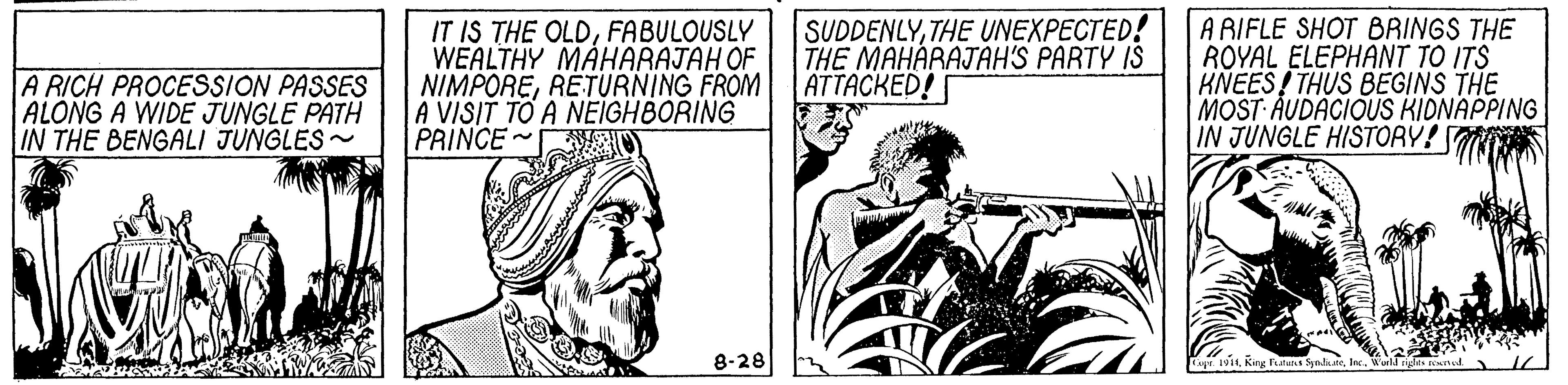 Newspaper OCR: A RICH PROCESSION PASSES ALONG A WIDE JUNGLE PATH IN THE BENGALI JUNGLES~ IT IS THE OLDFABULOUSLY WEALTHY MAHARAJAH OF. NIMPORERETURNING FROM A VISIT TO A NEIGHBORING PRINCE O SUDDENLYTHE UNEXPECTED! THE MAHARAJAH'S PARTY IŠ ATTACKED! A RIFLE SHOT BRINGS THE ROYAL ELEPHANT TO ITS KNEES! THUS BEGINS THE MOST AUDACIOUS KIDNAPPING IN JUNGLE HISTORY! TA 8-28 King Featuss Synhar. A RICH PROCESSION PASSES ALONG A WIDE JUNGLE PATH IN THE BENGALI JUNGLES~ IT IS THE OLDFABULOUSLY WEALTHY MAHARAJAH OF. NIMPORERETURNING FROM A VISIT TO A NEIGHBORING PRINCE O SUDDENLYTHE UNEXPECTED! THE MAHARAJAH'S PARTY IŠ ATTACKED! A RIFLE SHOT BRINGS THE ROYAL ELEPHANT TO ITS KNEES! THUS BEGINS THE MOST AUDACIOUS KIDNAPPING IN JUNGLE HISTORY! TA 8-28 King Featuss Synhar.