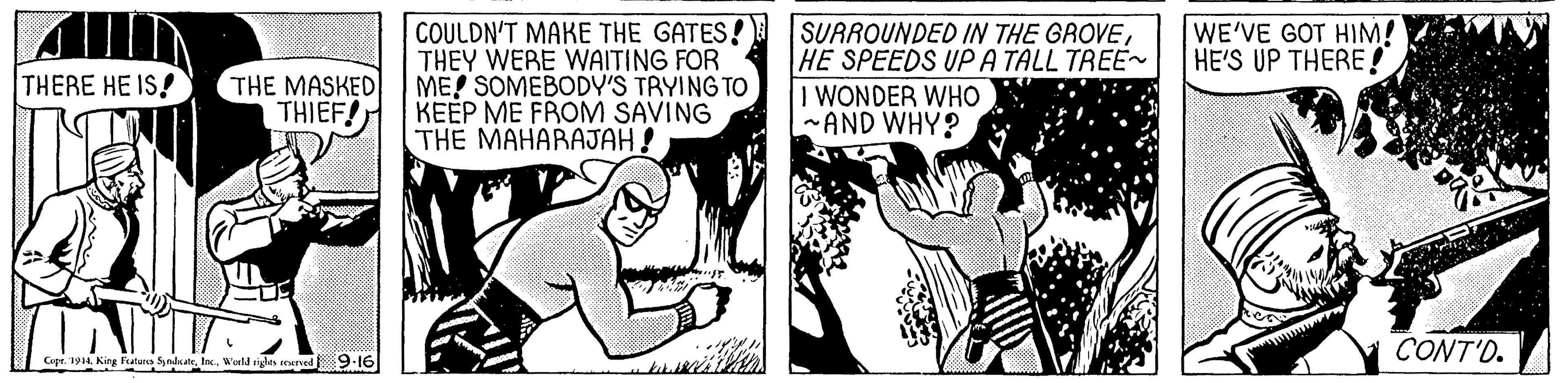 Illustration OCR: WE'VE GOT HIM! HE'S UP THERE! COULDN'T MAKE THE GATES! THEY WERE WAITING FOR ME! SOMEBODY'S TRYING TO KEEP ME FROM SAVING THE MAHARAJAH! SUAROUNDED IN THE GROVEHE SPEEDS UPA TALL TREE- I WONDER WHO -AND WHY? THERE HE IS! THE MASKED THIEF! CONT'O. r. 1914 King Fatura SndateIr Wald igles enered 9:16 WE'VE GOT HIM! HE'S UP THERE! COULDN'T MAKE THE GATES! THEY WERE WAITING FOR ME! SOMEBODY'S TRYING TO KEEP ME FROM SAVING THE MAHARAJAH! SUAROUNDED IN THE GROVEHE SPEEDS UPA TALL TREE- I WONDER WHO -AND WHY? THERE HE IS! THE MASKED THIEF! CONT'O. r. 1914 King Fatura SndateIr Wald igles enered 9:16