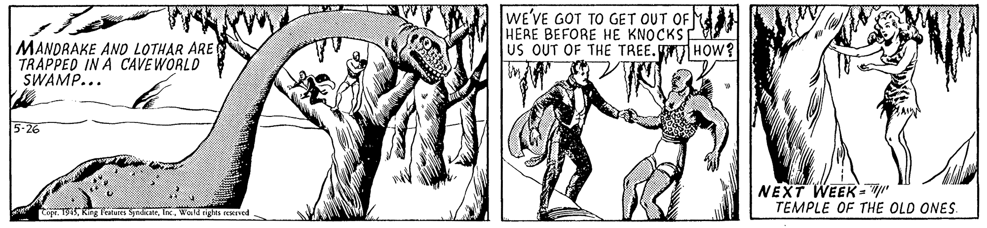 Illustration OCR: wE'VE GOT TO GET OUT OF HERE BEFORE HE KNOCKS US OUT OF THE TREE. HOW? MANDRAKE AND LOTHAR ARE TRAPPED IN A CAVEWORLD SWAMP... 5-26 NEXT WEEK = " TEMPLE OF THE OLD ONES. Copr. 1945Inc Wald rights reseved wE'VE GOT TO GET OUT OF HERE BEFORE HE KNOCKS US OUT OF THE TREE. HOW? MANDRAKE AND LOTHAR ARE TRAPPED IN A CAVEWORLD SWAMP... 5-26 NEXT WEEK = " TEMPLE OF THE OLD ONES. Copr. 1945King Features SyndicateInc Wald rights reseved