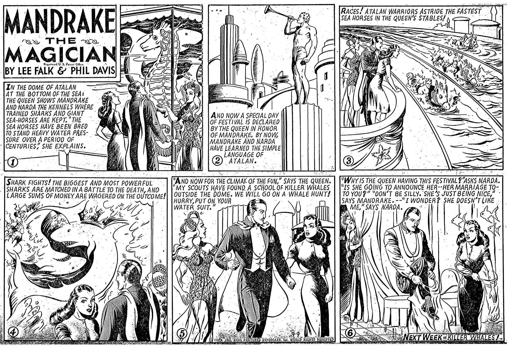 Comic book OCR: MANDRAKE RACES! ATALAN WARRIORS ASTRIDE THE FASTEST SEA HORSES IN THE QUEEN'S STABLES! THE MAGICIAN BY LEE FALK & PHIL DAVIS Repalered U Peeal Of IN THE DOME OF ATALAN AT THE BOTTOM OF THE SEA: THE QUEEN SHOWS MANDRAKE AND NARDA THE KENNELS WHERE TRAINED SHARKS ANO GIANT SEA-HORSES ARE KEPT. "THE SEA HORSES HAVE BEEN BRED TO STAND HEAVY WATER PRES- SURE OVER A PERIOD OF CENTURIESSHE EXPLAINS. ANO NOW A SPECIAL DAY OF FESTIVAL IS DECLARED BY THE QUEEN IN HONOR OF MANDRAKE. BY NOWMANDRAKE AND NARDA HAVE LEARNED THE SIMPLE LANGUAGE OF (2 ATALAN. SHARK FIGHTS! THE BIGGEST AND MOST POWERFUL SHARKS ARE MATCHED IN A BATTLE TO THE DEATHAND LARGE SUMS OF MONEY ARE WAGERED ON THE QUTCOME! OUTSIDE THE DOME. WE WILL GO ON A WHALE HUNT! "A ND NOW FOR THE CLIMAK OF THE FUN" SAYS THE QUEEN. "WHY IS THE QUEEN HAVING THIS FESTIVAL?"ASKS NARDA. "MY SCOUTS HAVE FOUNDA SCHOOL OF KILLER WHALES "IS SHE GOING TO ANNOUNCE HER--HER MARRIASE TO- TO YOU?" "0ON'T BE SILLY. SHE'S JUST BEING NICE" SAYS MANORAKE.--"I WONDER? SHE DOESN'T LIKE ME" SAYS NARDA. HURRYPUT ON YOUR WATER SUIT. NEXT WEEKEKILER WHALES MANDRAKE RACES! ATALAN WARRIORS ASTRIDE THE FASTEST SEA HORSES IN THE QUEEN'S STABLES! THE MAGICIAN BY LEE FALK & PHIL DAVIS Repalered U Peeal Of IN THE DOME OF ATALAN AT THE BOTTOM OF THE SEA: THE QUEEN SHOWS MANDRAKE AND NARDA THE KENNELS WHERE TRAINED SHARKS ANO GIANT SEA-HORSES ARE KEPT. "THE SEA HORSES HAVE BEEN BRED TO STAND HEAVY WATER PRES- SURE OVER A PERIOD OF CENTURIESSHE EXPLAINS. ANO NOW A SPECIAL DAY OF FESTIVAL IS DECLARED BY THE QUEEN IN HONOR OF MANDRAKE. BY NOWMANDRAKE AND NARDA HAVE LEARNED THE SIMPLE LANGUAGE OF (2 ATALAN. SHARK FIGHTS! THE BIGGEST AND MOST POWERFUL SHARKS ARE MATCHED IN A BATTLE TO THE DEATHAND LARGE SUMS OF MONEY ARE WAGERED ON THE QUTCOME! OUTSIDE THE DOME. WE WILL GO ON A WHALE HUNT! "A ND NOW FOR THE CLIMAK OF THE FUN" SAYS THE QUEEN. "WHY IS THE QUEEN HAVING THIS FESTIVAL?"ASKS NARDA. "MY SCOUTS HAVE FOUNDA SCHOOL OF KILLER WHALES "IS SHE GOING TO ANNOUNCE HER--HER MARRIASE TO- TO YOU?" "0ON'T BE SILLY. SHE'S JUST BEING NICE" SAYS MANORAKE.--"I WONDER? SHE DOESN'T LIKE ME" SAYS NARDA. HURRYPUT ON YOUR WATER SUIT. NEXT WEEKEKILER WHALES