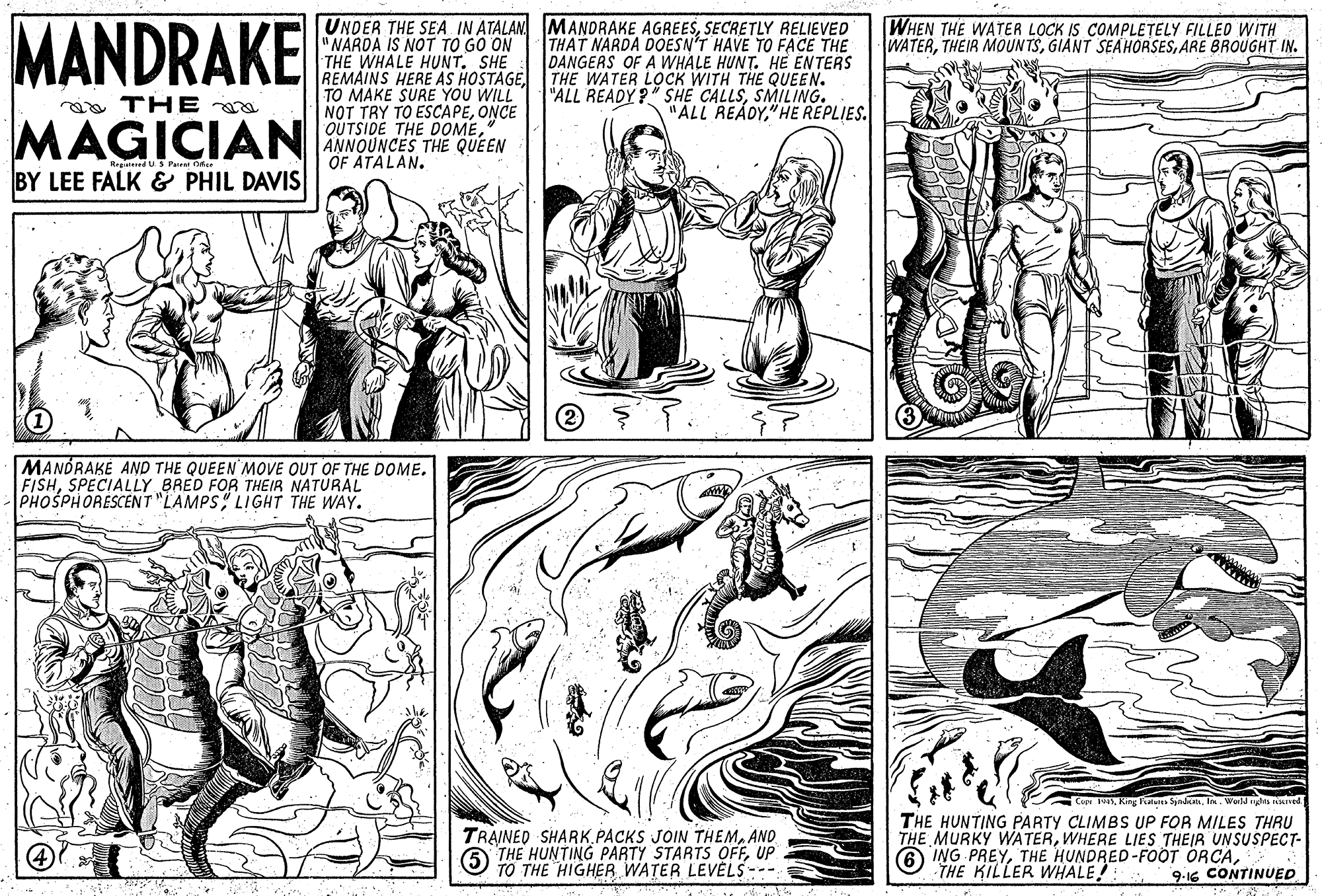 Line OCR: MANDRAKE UNDER THE SEA IN ATALAN MANDRAKE AGREESSECRETLY RELIEVED "NARDA IS NOT TO GO ON THE WHALE HUNT. SHE REMAINS HERE AS HOSTAGETHE WATER LOCK WITH THE QUEEN. TO MAKE SURE YOU WILL NOT TRY TO ESCAPEONCE OUTSIDE THE DOMEANNOUNCES THE QUEEN OF ATALAN. THAT NARDA DOESN'T HAVE TO FACE THE DANGERS OF A WHALE HUNT. HE ENTERS WHEN THE WATER LOCK IS COMPLETELY FILLED WITH WATERARE BROUGHT IN. ALL READY?" SHE CALLSSMILING. "ALL READY" HE REPLIES. aa THE MAGICIAN dUS Pa De. BY LEE FALK & PHIL DAVIS MANÓRAKE AND THE QUEEN MOVE OUT OF THE DOME. FISHSPECIALLY BRED FOR THEIR NATURAL PHOSPHORESCENT "LAMPS LIGHT THE WAY. Fata SpdAI. Werld tes Ived THE HUNTING PARTY CLIMBS UP FOR MILES THRU THE MURKY WATERWHERE LIES THEIR UNSUSPECT- 6 ING PREYTHE KILLER WHALE! TRAINED SHARK.PACKS JOIN THEMAND (5 THE HUNTING PARTY STARTS OFFUP TO THE HIGHER WATER LEVELS- 9-16 CONTINUED MANDRAKE UNDER THE SEA IN ATALAN MANDRAKE AGREESSECRETLY RELIEVED "NARDA IS NOT TO GO ON THE WHALE HUNT. SHE REMAINS HERE AS HOSTAGETHE WATER LOCK WITH THE QUEEN. TO MAKE SURE YOU WILL NOT TRY TO ESCAPEONCE OUTSIDE THE DOMEANNOUNCES THE QUEEN OF ATALAN. THAT NARDA DOESN'T HAVE TO FACE THE DANGERS OF A WHALE HUNT. HE ENTERS WHEN THE WATER LOCK IS COMPLETELY FILLED WITH WATERTHEIR MOUNTSGIANT SEAHORSESARE BROUGHT IN. ALL READY?" SHE CALLSSMILING. "ALL READY" HE REPLIES. aa THE MAGICIAN dUS Pa De. BY LEE FALK & PHIL DAVIS MANÓRAKE AND THE QUEEN MOVE OUT OF THE DOME. FISHSPECIALLY BRED FOR THEIR NATURAL PHOSPHORESCENT "LAMPS LIGHT THE WAY. Fata SpdAI. Werld tes Ived THE HUNTING PARTY CLIMBS UP FOR MILES THRU THE MURKY WATERWHERE LIES THEIR UNSUSPECT- 6 ING PREYTHE HUNDRED-FOOT ORCATHE KILLER WHALE! TRAINED SHARK.PACKS JOIN THEMAND (5 THE HUNTING PARTY STARTS OFFUP TO THE HIGHER WATER LEVELS- 9-16 CONTINUED