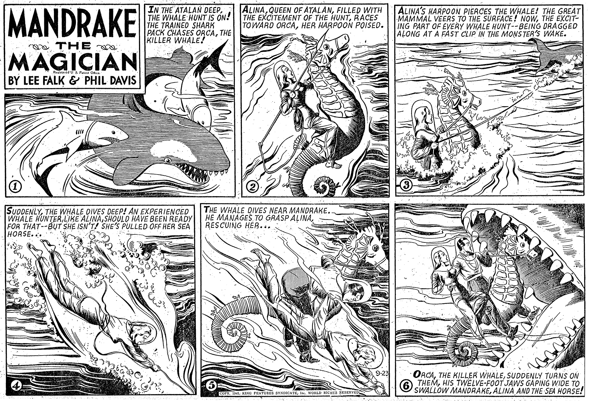 Gesture OCR: MANDRAKE IN THE ATALAN DEEPTHE WHALE HUNT IS ON! THE TRAINED SHARK PACK CHASES ORCATHE KILLER WHALE! ALINAFILLED WITH THE EXCITEMENT OF THE HUNTRACES TOWARD ORCAHER HARPOON POISED. ALINA'S HARPOON PIERCES THE WHALE! THE GREAT MAMMAL VEERS TO THE SURFACE! NOWTHE EXCIT- ING PART OF EVERY WHALE HUNT--BEING DRAGGED ALONG AT A FAST CLIP IN THE MONSTER'S WAKE. rea THE a MAGICIAN atendU& Par Oe BY LEE FALK & PHIL DAVIS (1) SUDDENLYTHE WHALE DIVES OEEP! AN EXPERIENCED WHALE HUNTERSHOULD HAVE BEEN READY FOR THAT--BUT SHE ISN'T! SHE'S PULLED OFF HER SEA HORSE... THE WHALE DIVES NEAR MANDRAKE. HE MANAGES TO GRASP ALINARESCUING HER... 9-23 ORCASUDDENLY TURNS ON O THEMHIS TWELVE-FOOT JAWS GÁPING WIDE TO SWALLOW MANDRAKEALINA AND THE SEA HORSE! COPR. 190. KING PRATURES SYNDICATEt. WORLD HICTS RESERVED MANDRAKE IN THE ATALAN DEEPTHE WHALE HUNT IS ON! THE TRAINED SHARK PACK CHASES ORCATHE KILLER WHALE! ALINAQUEEN OF ATALANFILLED WITH THE EXCITEMENT OF THE HUNTRACES TOWARD ORCAHER HARPOON POISED. ALINA'S HARPOON PIERCES THE WHALE! THE GREAT MAMMAL VEERS TO THE SURFACE! NOWTHE EXCIT- ING PART OF EVERY WHALE HUNT--BEING DRAGGED ALONG AT A FAST CLIP IN THE MONSTER'S WAKE. rea THE a MAGICIAN atendU& Par Oe BY LEE FALK & PHIL DAVIS (1) SUDDENLYTHE WHALE DIVES OEEP! AN EXPERIENCED WHALE HUNTERLIKE ALINASHOULD HAVE BEEN READY FOR THAT--BUT SHE ISN'T! SHE'S PULLED OFF HER SEA HORSE... THE WHALE DIVES NEAR MANDRAKE. HE MANAGES TO GRASP ALINARESCUING HER... 9-23 ORCATHE KILLER WHALESUDDENLY TURNS ON O THEMHIS TWELVE-FOOT JAWS GÁPING WIDE TO SWALLOW MANDRAKEALINA AND THE SEA HORSE! COPR. 190. KING PRATURES SYNDICATEt. WORLD HICTS RESERVED