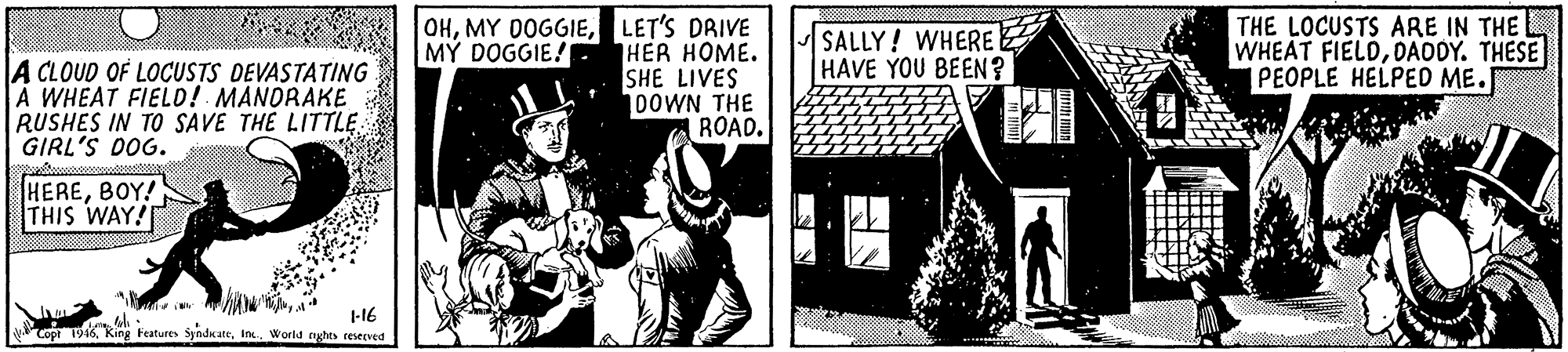 Illustration OCR: OHLET'S DRIVE HER HOME. SHE LIVES 100WN THE ROAD. THE LOCUSTS ARE IN THE WHEAT FIELDDAODY. THESE PEOPLE HELPED ME. SALLY! WHERE HAVE YOU BEEN? MY DOGGIE! A CLOUD OF LOCUSTS DEVASTATING A WHEAT FIELD! MANORAKE RUSHES IN TO SAVE THE LITTLEGIRL'S DOG. HEREBOY! THIS WAY! 1-16 copt 1946World nghes resecved OHMY 0OGGIELET'S DRIVE HER HOME. SHE LIVES 100WN THE ROAD. THE LOCUSTS ARE IN THE WHEAT FIELDDAODY. THESE PEOPLE HELPED ME. SALLY! WHERE HAVE YOU BEEN? MY DOGGIE! A CLOUD OF LOCUSTS DEVASTATING A WHEAT FIELD! MANORAKE RUSHES IN TO SAVE THE LITTLEGIRL'S DOG. HEREBOY! THIS WAY! 1-16 copt 1946King Features SyndkateWorld nghes resecved