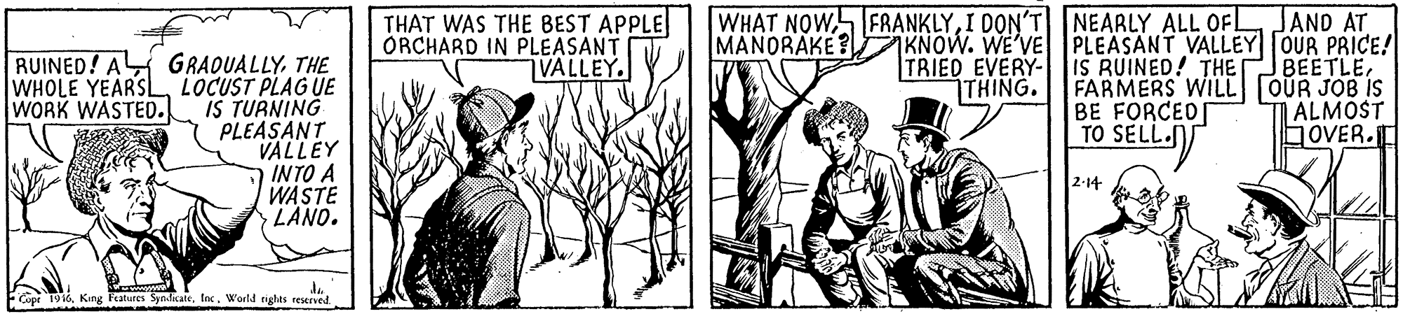 Parallel OCR: JAND AT MANORAKE KNOW. WE'VE PLEASANT VALLEY OUR PRICE! BEETLEFARMERS WIL OUR JOB IS ALMOST GOVER. WHAT NOWI DON'T NEARLY ALL OFL THAT WAS THE BEST APPLE ORCHARD IN PLEASANT VALLEY RUINED! A GRADUALLYTHE WHOLE YEARSL LOCUST PLAGUE IS TURNING PLEASANT VALLEY INTO A WASTE LANO. TRIED EVERY- 1THING. IS RUINED! THE WORK WASTED. BE FORCED TO SELL.) 2-14- Copr 1914Inc. World rights reserved. JAND AT MANORAKE KNOW. WE'VE PLEASANT VALLEY OUR PRICE! BEETLEFARMERS WIL OUR JOB IS ALMOST GOVER. WHAT NOWI DON'T NEARLY ALL OFL THAT WAS THE BEST APPLE ORCHARD IN PLEASANT VALLEY RUINED! A GRADUALLYTHE WHOLE YEARSL LOCUST PLAGUE IS TURNING PLEASANT VALLEY INTO A WASTE LANO. TRIED EVERY- 1THING. IS RUINED! THE WORK WASTED. BE FORCED TO SELL.) 2-14- Copr 1914King Fatures SyndicateInc. World rights reserved.