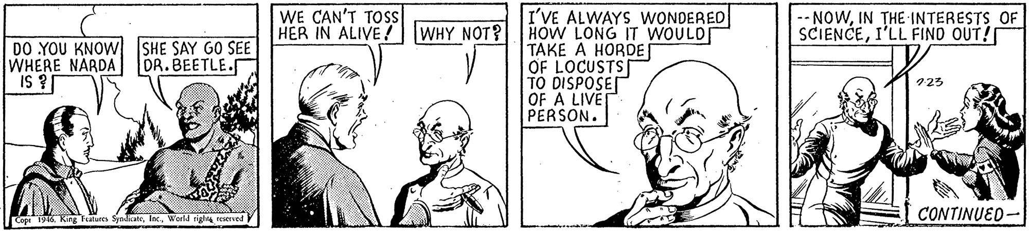 Organism OCR: WE CAN'T TOS HER IN ALIVE! WHY NOT? I'VE ALWAYS WONDERED HOW LONG IT WOULD TAKE A HORDE OF LOCUSTS TO DISPOSE OF A LIVET PERSON. -- NOWIN THE INTERESTS OF SCIENCEI'LL FIND OUT! DO YOU KNOW WHERE NARDA IS ? SHE SAY GO SEE DR. BEETLE. 723 CONTINUED- Copr 1936World righa reserved WE CAN'T TOS HER IN ALIVE! WHY NOT? I'VE ALWAYS WONDERED HOW LONG IT WOULD TAKE A HORDE OF LOCUSTS TO DISPOSE OF A LIVET PERSON. -- NOWIN THE INTERESTS OF SCIENCEI'LL FIND OUT! DO YOU KNOW WHERE NARDA IS ? SHE SAY GO SEE DR. BEETLE. 723 CONTINUED- Copr 1936King Features SyndicateWorld righa reserved