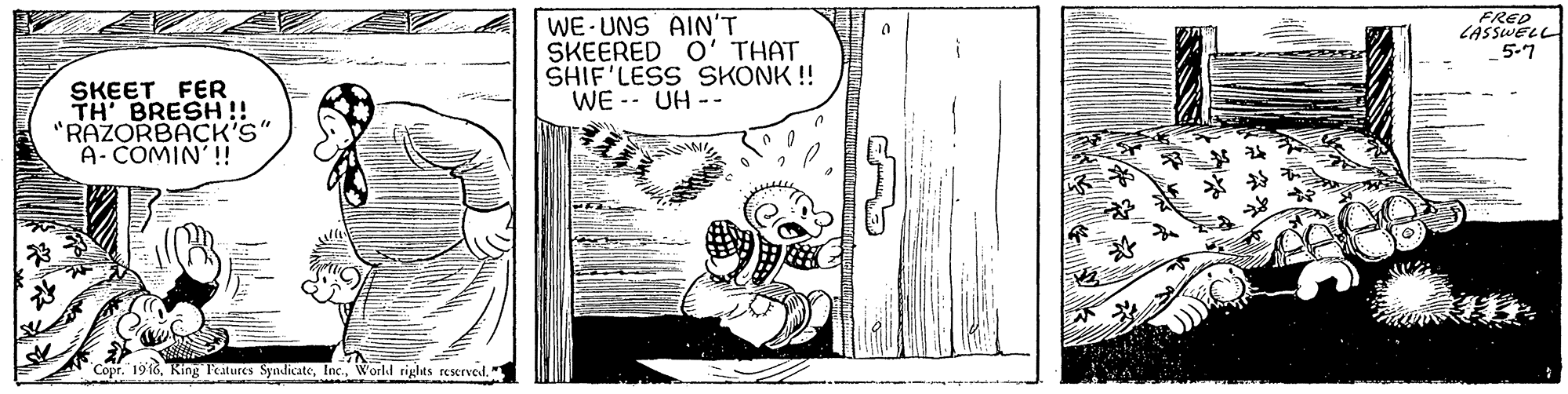 Drawing OCR: FRED LASSWELL 5-7 WE- UNS AIN'T SKEERED O' THAT SHIF'LESS SKONK ! WE -- UH -- SKEET FER TH' BRESH!! "RAZORBACK'S" A-COMIN'!! Copr. 1916Workd rights reserved. " FRED LASSWELL 5-7 WE- UNS AIN'T SKEERED O' THAT SHIF'LESS SKONK ! WE -- UH -- SKEET FER TH' BRESH!! "RAZORBACK'S" A-COMIN'!! Copr. 1916King l'eatures SyndicateWorkd rights reserved. "
