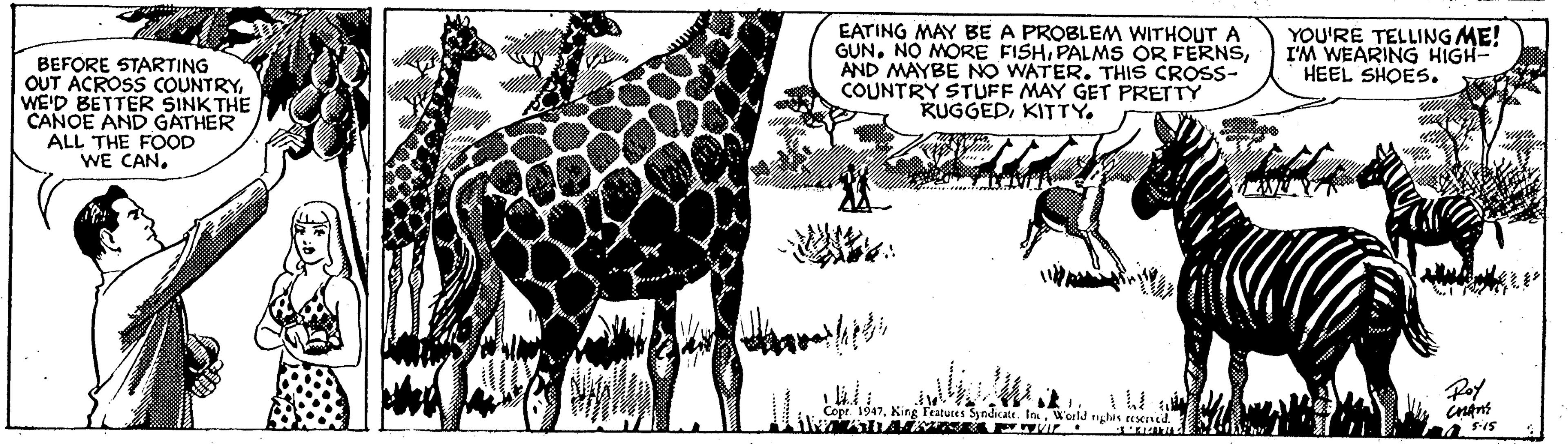 Art OCR: BEFORE STARTING OUT ACROSS COUNTRYWE'D BETTER SINK THE CANOE AND GATHER ALL THE FOOD WE CANEATING MAY BE A PROBLEM WITHOUT A GUN. NO MORE FISHAND MAYBE NO WATER. THIS CROSS- COUNTRY STUFF MAY GET PRETTY KUGGEDKITTY. YOU'RE TELLING ME! I'M WEARING HIGH- HEEL SHOES. Poy ingns Copr. 1947World nghis usened. BEFORE STARTING OUT ACROSS COUNTRYWE'D BETTER SINK THE CANOE AND GATHER ALL THE FOOD WE CANEATING MAY BE A PROBLEM WITHOUT A GUN. NO MORE FISHPALMS OR FERNSAND MAYBE NO WATER. THIS CROSS- COUNTRY STUFF MAY GET PRETTY KUGGEDKITTY. YOU'RE TELLING ME! I'M WEARING HIGH- HEEL SHOES. Poy ingns Copr. 1947King l'eatuces Syndicate. IaWorld nghis usened.