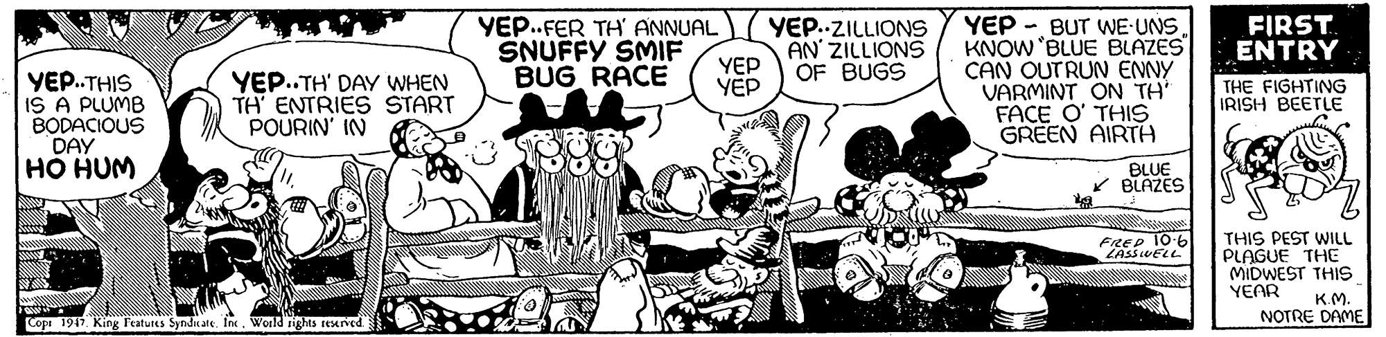 Style OCR: YEP - BUT WE-UNSKNOW 'BLUE BLAZES CAN OUTRUN ENNY VARMINT ON TH FACE O' THIS GREEN AIRTH YEP.FER TH ANNUAL SNUFFY SMIF BUG RACE YEP..ZILLIONS AN' ZILLIONS OF BUGS FIRST. ENTRY YEP YEP YEP.THIS IS A PLUMB BODACIOUS DAY HO HUM YEP..TH' DAY WHEN TH ENTRIES START POURIN' IN THE FIGHTING IRISH BEETLE BLUE * BLAZES FREP 10-6 LASSUELL THIS PEST WILL PLAGUE THE MIDWEST THIS YEAR KM NOTRE DAME Copi 1947. King l'eatures Syndu ate. fne. World rights reerved. YEP - BUT WE-UNSKNOW 'BLUE BLAZES CAN OUTRUN ENNY VARMINT ON TH FACE O' THIS GREEN AIRTH YEP.FER TH ANNUAL SNUFFY SMIF BUG RACE YEP..ZILLIONS AN' ZILLIONS OF BUGS FIRST. ENTRY YEP YEP YEP.THIS IS A PLUMB BODACIOUS DAY HO HUM YEP..TH' DAY WHEN TH ENTRIES START POURIN' IN THE FIGHTING IRISH BEETLE BLUE * BLAZES FREP 10-6 LASSUELL THIS PEST WILL PLAGUE THE MIDWEST THIS YEAR KM NOTRE DAME Copi 1947. King l'eatures Syndu ate. fne. World rights reerved.