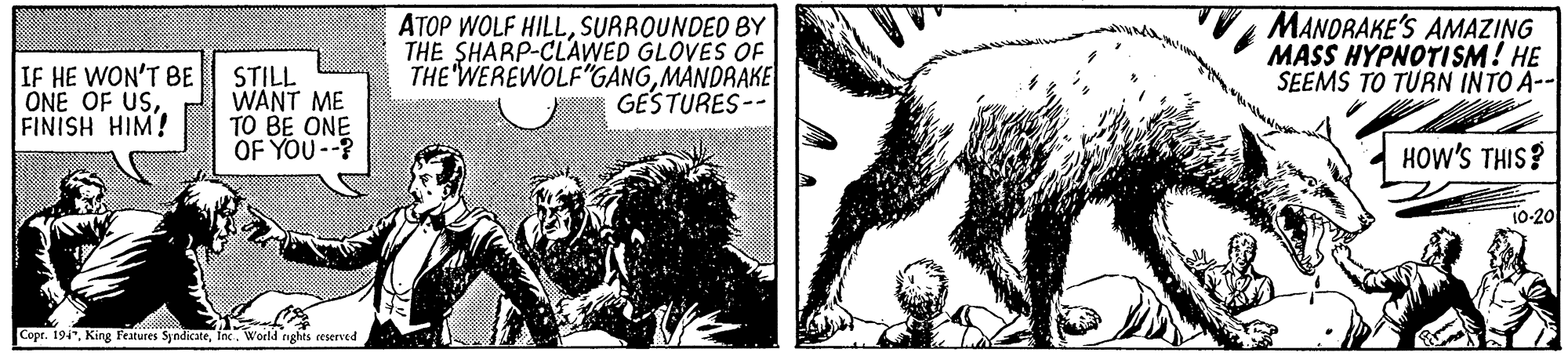 Terrestrial animal OCR: ATOP WOLF HILLSURROUNDED BY THE SHARP-CLAWED GLOVES OF THE'WEREWOLF"GANGMÀNDAAKE GESTURES-- MANORAKE'S AMAZING MASS HYPNOTISM! HE SEEMS TO TURN INTO A-- IF HE WON'T BE ONE OF USFINISH HIM! STILL WANT ME BE ONE OF YOU--? HOW'S THIS? 10-20 Copr. 194"Inc. World rghts reserved ATOP WOLF HILLSURROUNDED BY THE SHARP-CLAWED GLOVES OF THE'WEREWOLF"GANGMÀNDAAKE GESTURES-- MANORAKE'S AMAZING MASS HYPNOTISM! HE SEEMS TO TURN INTO A-- IF HE WON'T BE ONE OF USFINISH HIM! STILL WANT ME BE ONE OF YOU--? HOW'S THIS? 10-20 Copr. 194"King Features SyndicateInc. World rghts reserved