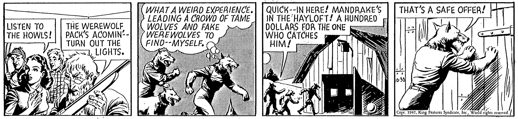 Illustration OCR: WHAT A WEIRD EXPERIENCE. QUICK --IN HERE! MANDRAKE'S LEADING A CROWD OF TAME WOLVES AND FAKE WEREWOLVES TO FIND--MYSELF. THAT'S A SAFE OFFER! LISTEN TO THE HOWLS! THE WEREWOLF PACK'S ACOMIN- TURN OUT THE LIGHTS. IN THE HAYLOFT! A HUNDRED DOLLARS FOR THE ONE WHO CATCHES HIM! Copr. 1947World rights reserved / WHAT A WEIRD EXPERIENCE. QUICK --IN HERE! MANDRAKE'S LEADING A CROWD OF TAME WOLVES AND FAKE WEREWOLVES TO FIND--MYSELF. THAT'S A SAFE OFFER! LISTEN TO THE HOWLS! THE WEREWOLF PACK'S ACOMIN- TURN OUT THE LIGHTS. IN THE HAYLOFT! A HUNDRED DOLLARS FOR THE ONE WHO CATCHES HIM! Copr. 1947King Features SyndicateWorld rights reserved /
