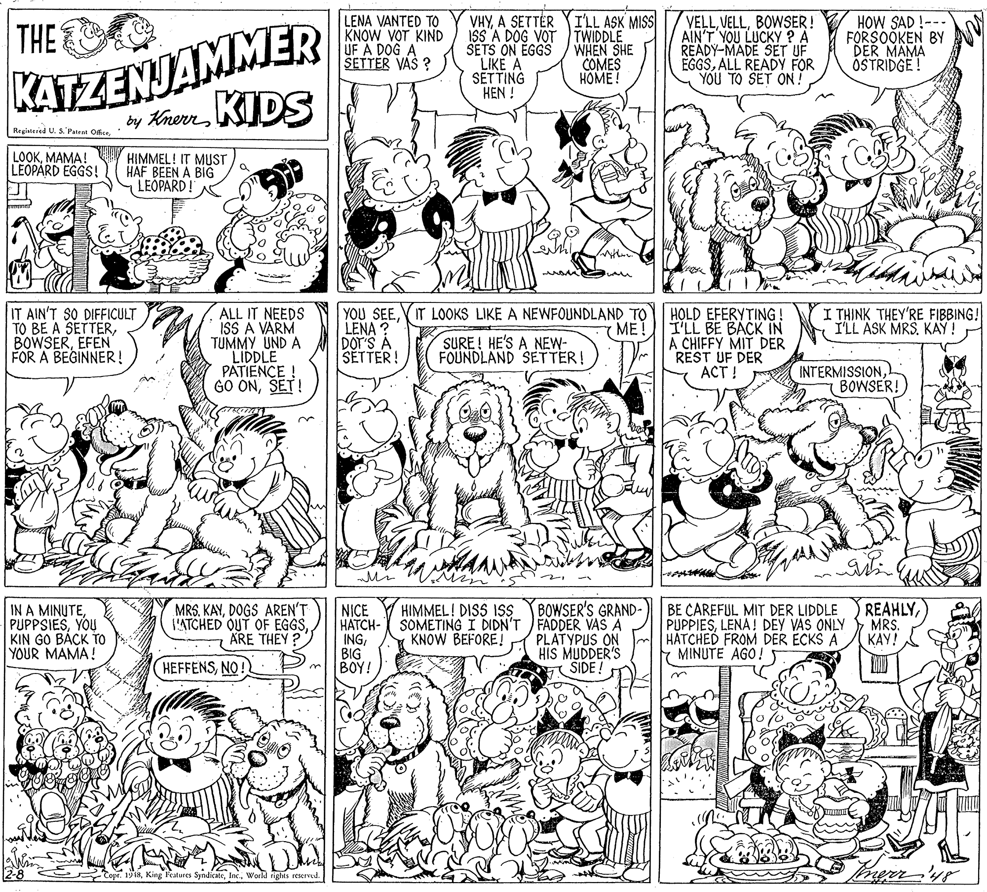 Monochrome photography OCR: KATZENJAMMER by KhermKIDS VHYA SETTÉR YI'LL ASK MISS ISS A DOG VOT SETS ON EGGS LIKE A SETTING HEN ! THE LENA VANTED TO KNOW VOT KIND UF A DOG A SETTER VAS ? TWIDDLE WHEN SHE COMES HOME! VELLBOWSER ! AIN'T YOU LUCKY ? A READY-MADE SET UF EGGSALL READY FOR YOU TO SET ON! HOW SAD !--- FORSOOKEN BY DER MAMA OSTRIDGE ! Regisiered U. s' Patent Offse. LOOKMAMA! LEOPARD EGGS! HIMMEL! IT MUST HAF BEEN A BIG LEOPARD! IT AIN'T SO DIFFICULT TO BE A SETTEREFEN FOR A BEGINNER! ALL IT NEEDS ISS A VARM TUMMY UND A LIDDLE PATIENCE ! GO ONSET! YOU SEEIT LOOKS LIKE A NEWFOUNDLAND TO LENA ? DOT'S À SETTER! HOLD EFERYTING! I'LL BE BACK IN A CHIFFY MIT DER REST UF DER ACT ! I THINK THEY'RE FIBBING! I'LL ASK MRS. KAY! ME SURE! HE'S A NEW- FOUNDLAND SETTER! INTERMISSIONBOWSER! BOWSER'S GRAND- SOMETING I DIDN'T FADDER VAS A PLATYPUS ON HIS MUDDER'S A SIDE ! REAHLY MRS. KAY! HIMMEL! DISS ISS IN A MINUTEYOU KIN GO BACK TO YOUR MAMA! MRS. KAYDOGS AREN'T {'ATCHED OUT OF EGGSARE THEY ? NICE HATCH- INGBIG BOY! BE CAREFUL MIT DER LIDDLE PUPPIESLENA! DEY VAS ONLY HATCHED FROM DER ECKS A MINUTE AGO! KNOW BEFORE HEFFENSNO! Topr. 1918World rights reserved KATZENJAMMER by KhermKIDS VHYA SETTÉR YI'LL ASK MISS ISS A DOG VOT SETS ON EGGS LIKE A SETTING HEN ! THE LENA VANTED TO KNOW VOT KIND UF A DOG A SETTER VAS ? TWIDDLE WHEN SHE COMES HOME! VELLBOWSER ! AIN'T YOU LUCKY ? A READY-MADE SET UF EGGSALL READY FOR YOU TO SET ON! HOW SAD !--- FORSOOKEN BY DER MAMA OSTRIDGE ! Regisiered U. s' Patent Offse. LOOKMAMA! LEOPARD EGGS! HIMMEL! IT MUST HAF BEEN A BIG LEOPARD! IT AIN'T SO DIFFICULT TO BE A SETTEREFEN FOR A BEGINNER! ALL IT NEEDS ISS A VARM TUMMY UND A LIDDLE PATIENCE ! GO ONSET! YOU SEEIT LOOKS LIKE A NEWFOUNDLAND TO LENA ? DOT'S À SETTER! HOLD EFERYTING! I'LL BE BACK IN A CHIFFY MIT DER REST UF DER ACT ! I THINK THEY'RE FIBBING! I'LL ASK MRS. KAY! ME SURE! HE'S A NEW- FOUNDLAND SETTER! INTERMISSIONBOWSER! BOWSER'S GRAND- SOMETING I DIDN'T FADDER VAS A PLATYPUS ON HIS MUDDER'S A SIDE ! REAHLY MRS. KAY! HIMMEL! DISS ISS IN A MINUTEYOU KIN GO BACK TO YOUR MAMA! MRS. KAYDOGS AREN'T {'ATCHED OUT OF EGGSARE THEY ? NICE HATCH- INGBIG BOY! BE CAREFUL MIT DER LIDDLE PUPPIESLENA! DEY VAS ONLY HATCHED FROM DER ECKS A MINUTE AGO! KNOW BEFORE HEFFENSNO! Topr. 1918King Features SyndicateWorld rights reserved