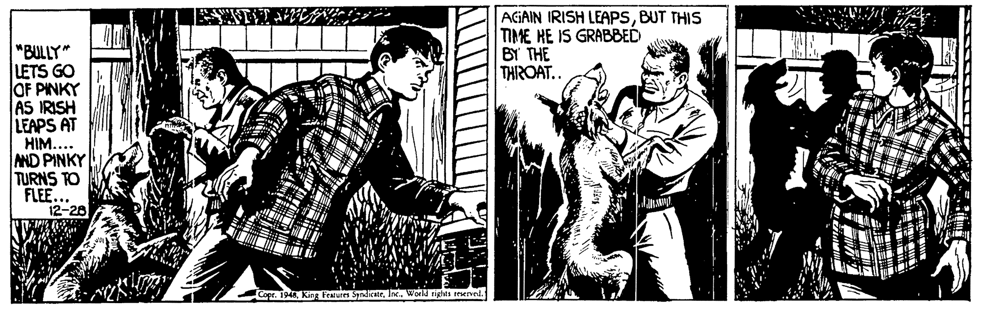 Drawing OCR: AGAIN IRISH LEAPSBUT THIS TIME HE IS GRABBED BY THE THROAT.. "BULLY" LETS GO OF PINKY AS IRISH LEAPS AT HIM.... AND PINKY TURNS TO FLEE... 12-28 Copr. 1948World rights teservnd. AGAIN IRISH LEAPSBUT THIS TIME HE IS GRABBED BY THE THROAT.. "BULLY" LETS GO OF PINKY AS IRISH LEAPS AT HIM.... AND PINKY TURNS TO FLEE... 12-28 Copr. 1948King Features SyndicateWorld rights teservnd.