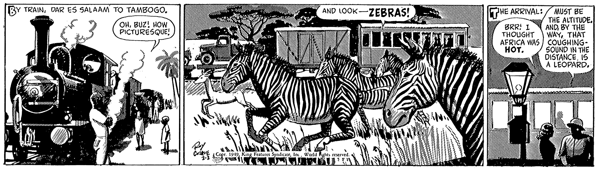 Tree OCR: BY TRAINAND LOOK-ZEBRAS! HE ARRIVAL: MUST BE THE ALTITUDE. ANDBY THE WAYTHAT AFRICA WAS COUGHING- SOUND IN THE DISTANCEIS A LEOPARDBUZ! HOW PICTURESQUE! BRR: I THOUGHT ???. Cri Copr. 1949In. World hghts reserved. BY TRAINDAR ES SALAAM TO TAMBOGOAND LOOK-ZEBRAS! HE ARRIVAL: MUST BE THE ALTITUDE. ANDBY THE WAYTHAT AFRICA WAS COUGHING- SOUND IN THE DISTANCEIS A LEOPARDBUZ! HOW PICTURESQUE! BRR: I THOUGHT ???. Cri Copr. 1949King Features SyndicateIn. World hghts reserved.