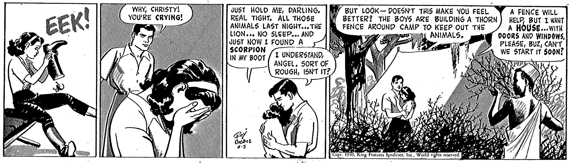 Fictional character OCR: JUST HOLD MEREAL TIGHT. ALL THOSE ANIMALS LAST NIGHT... THE LION... NO SLEEP... AND JUST NOW I FOUND A SCORPION IN MY BOOT WHYCHRISTY! YOU'RE CRYING! BUT LOOK- DOESN'T THIS MAKE YOU FEEL BETTER? THE BOYS ARE BUILDING A THORN FENCE AROUND CAMP TO KEEP OUT THE EEK! A FENCE WILL HELPBUT I WANT A HÓUSE...WITH DOORS AND WINDOWS. PLEASECAN'T WE START IT 500N? ANIMALSSORT OF ROUGHISN'T IT? 3.5 Cope. 1949World rights reserved. JUST HOLD MEREAL TIGHT. ALL THOSE ANIMALS LAST NIGHT... THE LION... NO SLEEP... AND JUST NOW I FOUND A SCORPION IN MY BOOT WHYCHRISTY! YOU'RE CRYING! BUT LOOK- DOESN'T THIS MAKE YOU FEEL BETTER? THE BOYS ARE BUILDING A THORN FENCE AROUND CAMP TO KEEP OUT THE EEK! A FENCE WILL HELPBUT I WANT A HÓUSE...WITH DOORS AND WINDOWS. PLEASECAN'T WE START IT 500N? ANIMALS1 UNDERSTANDSORT OF ROUGHISN'T IT? 3.5 Cope. 1949King Features SyndicateWorld rights reserved.