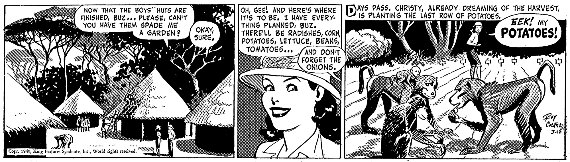 Art OCR: OHGEE! AND HERE'S WHERE IT'S TO BEI HAVE EVERY. THING PLANNEDBUZ. THERE'LL BE RADISHESAND DON'T FORGET THE t ONIONS. DAYS PASS. CHRISTYEEK! MY POTATOES! NOW THAT THE BOYS HUTS ARE FINISHEDCAN'T YOU HAVE THEM SPADE ME A GARDEN? IS PLANTING THE LAST ROW OF POTATOES. OKAYTOMATOES... "Criene 3-16 Copr. 1949World tights reseived. OHGEE! AND HERE'S WHERE IT'S TO BEI HAVE EVERY. THING PLANNEDBUZ. THERE'LL BE RADISHESAND DON'T FORGET THE t ONIONS. DAYS PASS. CHRISTYALREADY DREAMING OF THE HARVESTEEK! MY POTATOES! NOW THAT THE BOYS HUTS ARE FINISHEDBUZ... PLEASECAN'T YOU HAVE THEM SPADE ME A GARDEN? IS PLANTING THE LAST ROW OF POTATOES. OKAYTOMATOES... "Criene 3-16 Copr. 1949King Features SyndicateWorld tights reseived.