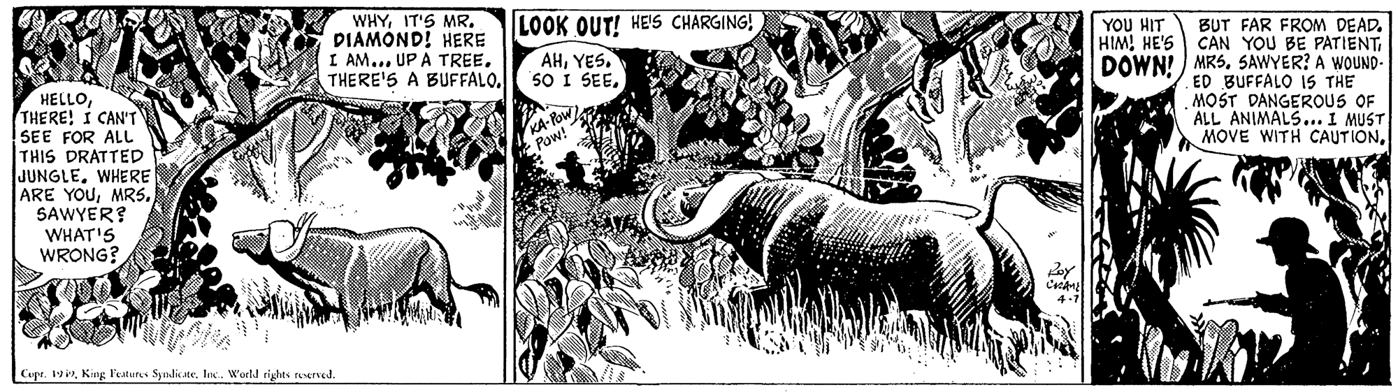 Art OCR: WHYIT'S MR. DIAMOND! HERE I AM..THERE'S A BUFFALO. LOOK OUT! HE'S CHARGING! YOU HIT HIM! HE'S BUT FAR FROM DEAD. CAN YOU BE PATIENTDOWN! ) MRS. SAWYER? A WOUND- ED BUFFALO 1S THE MOST DANGEROUS OF ALL ANIMALS.. I MUST MOVE WITH CAUTIONYES. SO I SEETHERE! I CAN'T SEE FOR ALL THIS DRATTED JUNGLEWHERE ARE YOUSAWYER? WHAT'S WRONG? KA-Pow Pow! Copr. 19King Festutes Syndik ee. In. World rights ruserved. WHYIT'S MR. DIAMOND! HERE I AM..UP A TREETHERE'S A BUFFALO. LOOK OUT! HE'S CHARGING! YOU HIT HIM! HE'S BUT FAR FROM DEAD. CAN YOU BE PATIENTDOWN! ) MRS. SAWYER? A WOUND- ED BUFFALO 1S THE MOST DANGEROUS OF ALL ANIMALS.. I MUST MOVE WITH CAUTIONYES. SO I SEETHERE! I CAN'T SEE FOR ALL THIS DRATTED JUNGLEWHERE ARE YOUSAWYER? WHAT'S WRONG? KA-Pow Pow! Copr. 19King Festutes Syndik ee. In. World rights ruserved.
