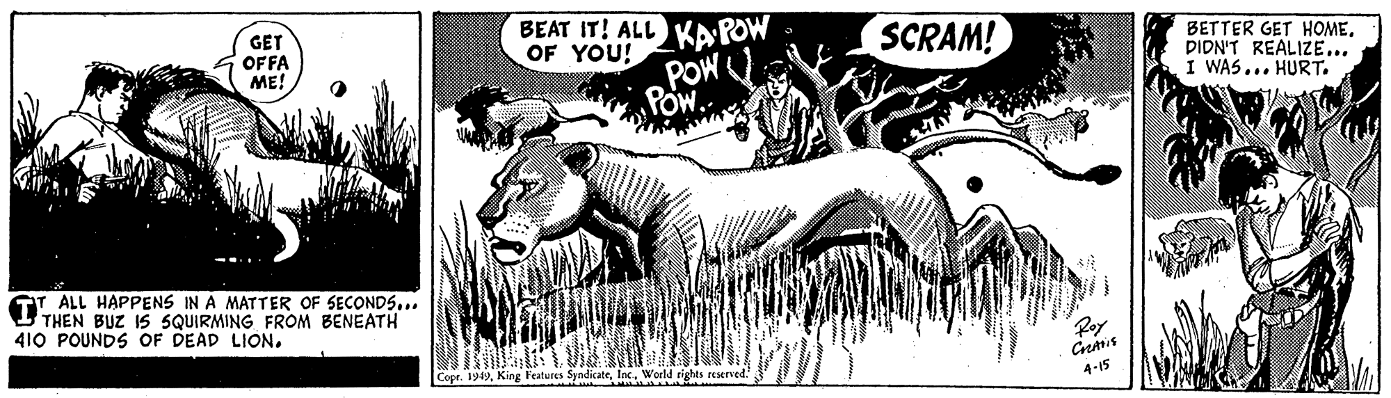 Tree OCR: GET OFFA ME! BEAT IT! ALL KAPOW OF YOU! POW Pow. SCRAM! BETTER GET HOMEDIDN'T REALIZE... I WAS... HURT. GT ALL HAPPENS IN A MATTER OF SECONDS... U THEN BUZ 1S SQUIRMING FROM BENEATH 410 POUNDS OF DEAD LION. Roy Copr. 1949Inc. World rights reserved. 4-15 GET OFFA ME! BEAT IT! ALL KAPOW OF YOU! POW Pow. SCRAM! BETTER GET HOMEDIDN'T REALIZE... I WAS... HURT. GT ALL HAPPENS IN A MATTER OF SECONDS... U THEN BUZ 1S SQUIRMING FROM BENEATH 410 POUNDS OF DEAD LION. Roy Copr. 1949King Features SyndicateInc. World rights reserved. 4-15