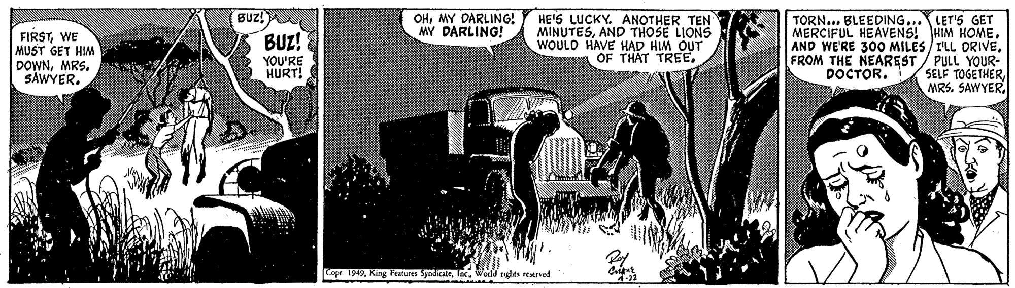 Line art OCR: FIRSTWE MUST GET HIM DOWNMRS. SAWYER. BUZ! OHMY DARLING! MY DARLING! HE'S LUCKY. ANOTHER TEN MINUTESAND THOSE LIONS WOULD HAVE HAD HIM OUT OF THAT TREETORN... BLEEDING... LET'S GET MERCIFUL HEAVENS! HIM HOME. AND WE'RE 300 MILES/ I'LL ORIVEFROM THE NEAREST / PULL YOUR- DOCTOR. SELF TOGETHERMRS. SAWYER.I BUZ! YOU'RE HURT! Copr 1949Woeld tights reserved FIRSTWE MUST GET HIM DOWNMRS. SAWYER. BUZ! OHMY DARLING! MY DARLING! HE'S LUCKY. ANOTHER TEN MINUTESAND THOSE LIONS WOULD HAVE HAD HIM OUT OF THAT TREETORN... BLEEDING... LET'S GET MERCIFUL HEAVENS! HIM HOME. AND WE'RE 300 MILES/ I'LL ORIVEFROM THE NEAREST / PULL YOUR- DOCTOR. SELF TOGETHERMRS. SAWYER.I BUZ! YOU'RE HURT! Copr 1949King Features SyndicateWoeld tights reserved