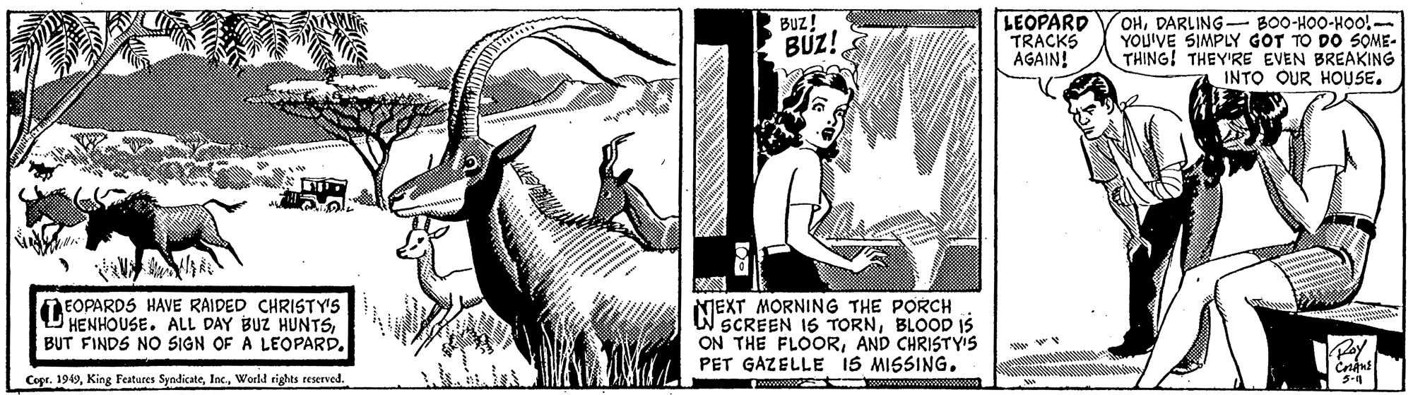 Visual arts OCR: LEOPARD TRACKS AGAIN! OHDARLING- BOO-HOO-HOO!- YOU'VE SIMPLY GOT TO DO SOME- THING! THEY'RE EVEN BREAKING INTO OUR HOUSE. Buz! BUZ! EOPARDS HAVE RAIDED CHRISTY'S HENHOUSE. ALL DAY BUZ HUNTSBUT FINDS NO SIGN OF A LEOPARD. MEXT MORNING THE PORCH WSCREEN IS TORNBLOOD IS ON THE FLOORAND CHRISTY'S PET GAZELLE 1S MISSING. Copr. 1949World rights reserved. 3-1 LEOPARD TRACKS AGAIN! OHDARLING- BOO-HOO-HOO!- YOU'VE SIMPLY GOT TO DO SOME- THING! THEY'RE EVEN BREAKING INTO OUR HOUSE. Buz! BUZ! EOPARDS HAVE RAIDED CHRISTY'S HENHOUSE. ALL DAY BUZ HUNTSBUT FINDS NO SIGN OF A LEOPARD. MEXT MORNING THE PORCH WSCREEN IS TORNBLOOD IS ON THE FLOORAND CHRISTY'S PET GAZELLE 1S MISSING. Copr. 1949King Features SyndicateWorld rights reserved. 3-1