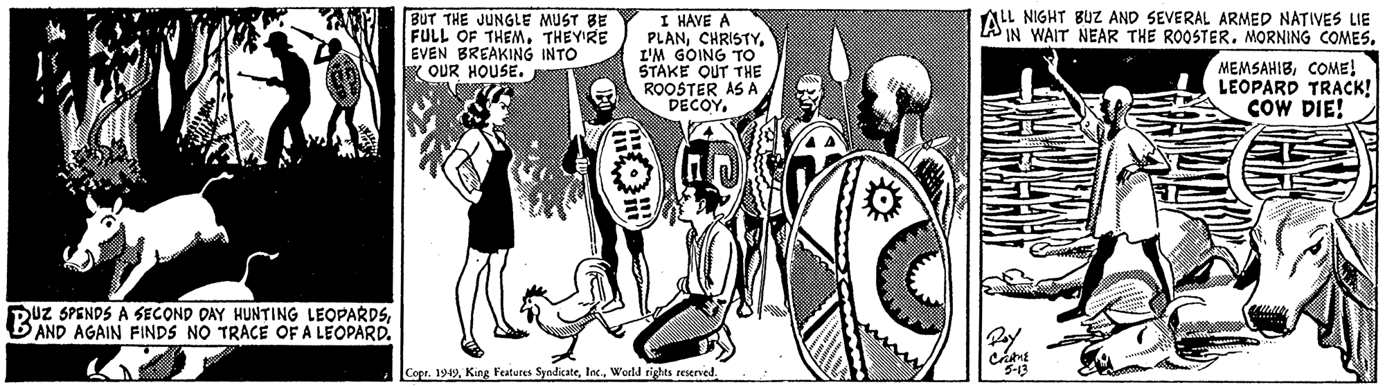 Illustration OCR: BUT THE JUNGLE MUST BE FULL OF THEMTHEYIRE EVEN BREAKING INTO K QUR HOUSE. I HAVE A PLANL'M GOING TO STAKE OUT THE ROOSTER AS A DECOY. NIGHT BUZ AND SEVERAL ARMED NATIVES LIE A IN WAIT NEAR THE ROOSTER. MORNING COMES. MEMSAHIBCOME! LEOPARD TRACK! COW DIE! DUZ SPENDS A SECOND DAY HUNTING LEOPARDSBAND AGAIN FINDS NO TRACE OF A LEOPARD. Pay Copr. 1949World rights reserved. BUT THE JUNGLE MUST BE FULL OF THEMTHEYIRE EVEN BREAKING INTO K QUR HOUSE. I HAVE A PLANL'M GOING TO STAKE OUT THE ROOSTER AS A DECOY. NIGHT BUZ AND SEVERAL ARMED NATIVES LIE A IN WAIT NEAR THE ROOSTER. MORNING COMES. MEMSAHIBCOME! LEOPARD TRACK! COW DIE! DUZ SPENDS A SECOND DAY HUNTING LEOPARDSBAND AGAIN FINDS NO TRACE OF A LEOPARD. Pay Copr. 1949King Features SyndicateWorld rights reserved.