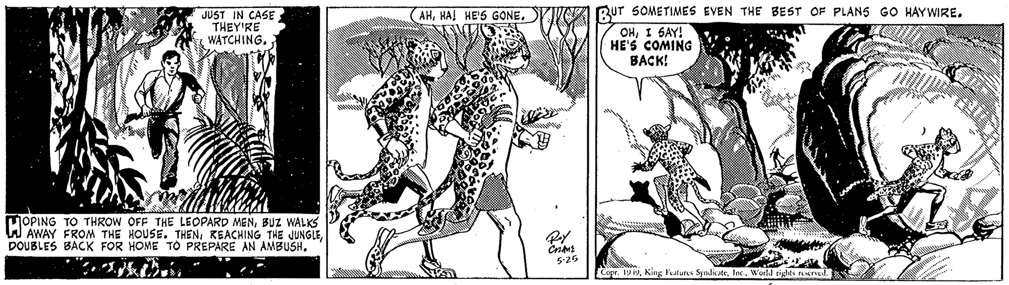 Illustration OCR: RUT SOMETIMES EVEN THE BEST OF PLAN5 GO HAYWIRE. JUST IN CASE THEY'RE WATCHING. (AHI SAY! HE'S COMING BACK! MOPING TO THROW OFF THE LEOPARD MENBUZ WALKS W AWAY FROM THE HOUSE. THENDOUBLES BACK FOR HOME TO PREPARE AN AMBUSH. Cris 5-26 Copr. 19 19World tights erved. RUT SOMETIMES EVEN THE BEST OF PLAN5 GO HAYWIRE. JUST IN CASE THEY'RE WATCHING. (AHHAJ HE'6 GONEI SAY! HE'S COMING BACK! MOPING TO THROW OFF THE LEOPARD MENBUZ WALKS W AWAY FROM THE HOUSE. THENREACHING THE JUNGLEDOUBLES BACK FOR HOME TO PREPARE AN AMBUSH. Cris 5-26 Copr. 19 19King Features SyndicateWorld tights erved.