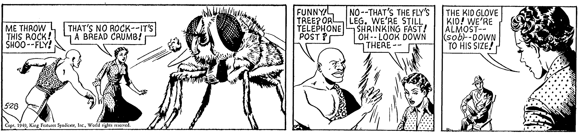 Font OCR: ME THROW THIS ROCK! SHOO--FLY! FUNNYA TREEP ORL TELEPHONE POST ? NO--THAT'S THE FLY'S LEG. WE'RE STILL SHRINKING FAST! OH -- LOOK DOWN THERE-- THE KID GLOVE KID! WE'RE ALMOST-- (sobl-DOWN TO HIS SIZE! THAT'S NO ROCK--IT'S A BREAD CRUMB! 528 Copr. 1949Woeld rights reserved. ME THROW THIS ROCK! SHOO--FLY! FUNNYA TREEP ORL TELEPHONE POST ? NO--THAT'S THE FLY'S LEG. WE'RE STILL SHRINKING FAST! OH -- LOOK DOWN THERE-- THE KID GLOVE KID! WE'RE ALMOST-- (sobl-DOWN TO HIS SIZE! THAT'S NO ROCK--IT'S A BREAD CRUMB! 528 Copr. 1949King Peatures SyndicateWoeld rights reserved.