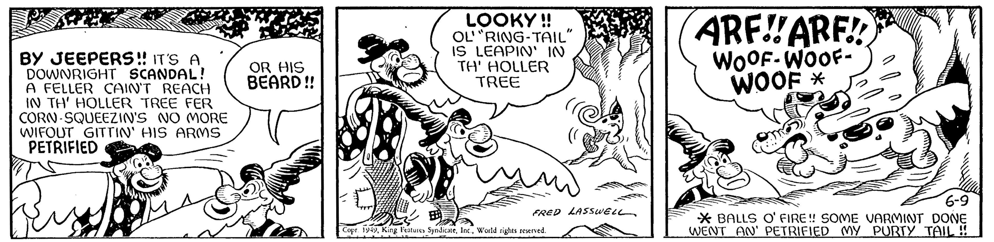 Happy OCR: BY JEEPERS!! IT'S A DOWNRIGHT SCANDAL! A FELLER CAIN'T REACH IN TH' HOLLER TREE FER CORN SQUEEZIN'S NO MORE WIFOUT GITTIN' HIS ARMS PETRIFIED OR HIS BEARD!! LOOKY !! "RING-TAIL" OL' IS LEAPIN' IN TH' HOLLER TREE FRED LASSWELL Copr. 1949World rights reserved. ARE!!ARE! WOOF-WOOF- WOOF * 6-9 BALLS O' FIRE!! SOME VARMINT DONE WENT AN' PETRIFIED MY PURTY TAIL !! BY JEEPERS !! IT'S A DOWNRIGHT SCANDAL ! A FELLER CAIN'T REACH IN TH ' HOLLER TREE FER CORN SQUEEZIN'S NO MORE WIFOUT GITTIN ' HIS ARMS PETRIFIED OR HIS BEARD !! LOOKY !! " RING - TAIL " OL ' IS LEAPIN ' IN TH ' HOLLER TREE FRED LASSWELL Copr . 1949King Features SyndicateWorld rights reserved . ARE !! ARE ! WOOF - WOOF WOOF * 6-9 BALLS O ' FIRE !! SOME VARMINT DONE WENT AN ' PETRIFIED MY PURTY TAIL !!