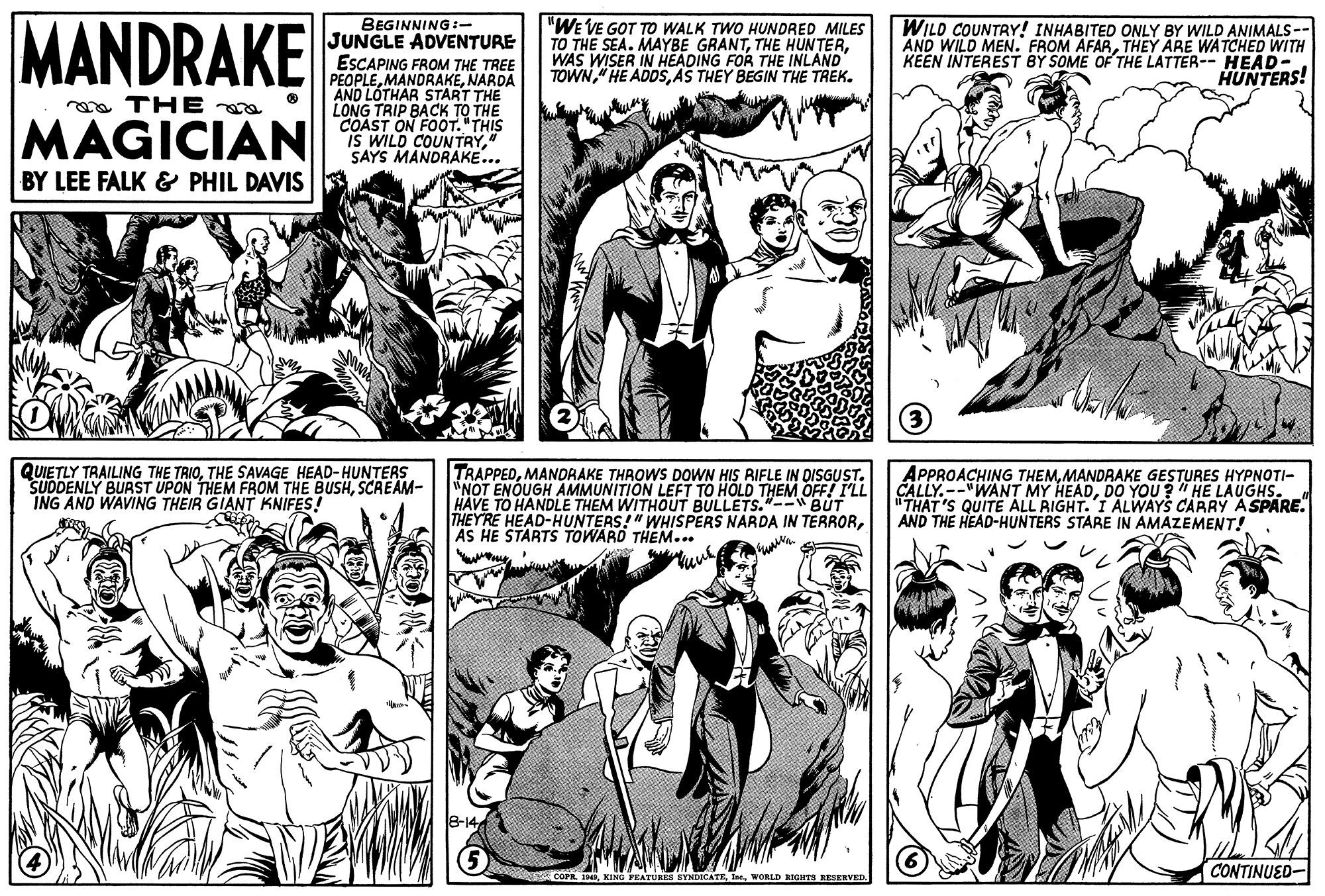 Mammal OCR: MANDRAKE BEGINNING:- JUNGLE ADVENTURE ESCAPING FROM THE TREE PEOPLENARDA AND LOTHAR START THE LONG TRIP BACK TO THE COAST ON FOOT."THIS IS WILD COUNTRY" SAYS MANDRAKE... "WE VE GOT To WALK TWO HUNDRED MILES TO THE SEA. MAYBE GRANTWAS WISER IN HEADING FOR THE INLAND TOWNAS THEY BEGIN THE TREK. WILD COUNTRY! INHABITED ONLY BY WILD ANIMALS-- AND WILD MEN. FROM AFARTHEY ARE WATCHED WITH KEEN INTEREST BY SOME OF THE LATTER-- HEAD- HUNTERS! a THE MAGICIAN BY LEE FALK & PHIL DAVIS QUIETLY TRAILING THE TRIOTHE SAVAGE HEAD-HUNTERS SUDDENLY BURST UPON THEM FROM THE BUSHSCREAM- ING AND WAVING THEIR GIANT KNIFES! TRAPPEDMANDAAKE THROWS DOWN HIS RIFLE IN DISGUST. "NOT ENOUGH AMMUNITION LEFT TO HOLD THEM OFF! I'LL HAVE TO HANDLE THEM WITHOUT BULLETS."--W BUT THEYRE HEAD-HUNTERS!" WHISPERS NARDA IN TERRORAS HE STARTS TOWARD THEM... APPROACHING THEMMANDAAKE GESTURES HYPNOTI- CALLY. --"WANT MY HEADD0 YOU?" HE LAUGHS. "THAT 'S QUITE ALL RIGHT. I ALWAYS CARRY A SPARE. AND THE HEAD-HUNTERS STARE IN AMAZEMENT! cOPn. INWORLD RIGHTS RESERVED. CONTINUED- MANDRAKE BEGINNING:- JUNGLE ADVENTURE ESCAPING FROM THE TREE PEOPLENARDA AND LOTHAR START THE LONG TRIP BACK TO THE COAST ON FOOT."THIS IS WILD COUNTRY" SAYS MANDRAKE... "WE VE GOT To WALK TWO HUNDRED MILES TO THE SEA. MAYBE GRANTTHE HUNTERWAS WISER IN HEADING FOR THE INLAND TOWN" HE ADDSAS THEY BEGIN THE TREK. WILD COUNTRY! INHABITED ONLY BY WILD ANIMALS-- AND WILD MEN. FROM AFARTHEY ARE WATCHED WITH KEEN INTEREST BY SOME OF THE LATTER-- HEAD- HUNTERS! a THE MAGICIAN BY LEE FALK & PHIL DAVIS QUIETLY TRAILING THE TRIOTHE SAVAGE HEAD-HUNTERS SUDDENLY BURST UPON THEM FROM THE BUSHSCREAM- ING AND WAVING THEIR GIANT KNIFES! TRAPPEDMANDAAKE THROWS DOWN HIS RIFLE IN DISGUST. "NOT ENOUGH AMMUNITION LEFT TO HOLD THEM OFF! I'LL HAVE TO HANDLE THEM WITHOUT BULLETS."--W BUT THEYRE HEAD-HUNTERS!" WHISPERS NARDA IN TERRORAS HE STARTS TOWARD THEM... APPROACHING THEMMANDAAKE GESTURES HYPNOTI- CALLY. --"WANT MY HEADD0 YOU?" HE LAUGHS. "THAT 'S QUITE ALL RIGHT. I ALWAYS CARRY A SPARE. AND THE HEAD-HUNTERS STARE IN AMAZEMENT! cOPn. INKINO FRATURES BYNDICATEWORLD RIGHTS RESERVED. CONTINUED-