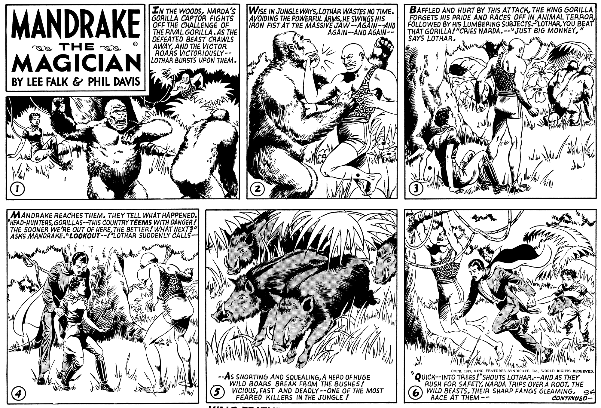 Style OCR: MANDRAKE IN THE WOODSNARDA'S GORILLA CAPTOR FIGHTS OFF THE CHALLENGE THE RIVAL GORILLA.AS THE DEFEATED BEAST CRAWLS AWAYAND THE VICTOR ROARS VICTORIioUSLY-- LOTHAR BURSTS UPON THEM. BAFFLED AND HURT BY THIS ATTACKTHE KING GORILLA FORGETS HIS PRIDE AND RACES OFF IN ANIMAL TERRORYOU BEAT THAT GORILLA!"CRIES NARDA.--" JUST BIG MONKEYSAYS LOTHAR. WISE IN JUNGLE WAYSLOTHAR WASTES NO TIME. AVOIDING THE POWERFUL ARMSHE SWINGS HIS IRON FIST AT THE MASSIVE JAW--AGAIN-AND AGAIN--AND AGAIN-- a THE a MAGICIAN BY LEE FALK & PHIL DAVIS MANDRAKE REACHES THEM. THEY TELL WHAT HAPPENED. HEAD-HUNTERSGORILLAS--THIS COUNTRY TEEMS WITH DANGER! THE SOONER WE'RE OUT OF HERETHE BETTER? WHAT NEXT?" ASKS MANDRAKE."LOOKOUT--!'LOTHAR SUDDENLY CALLS-- COPRWORLD RIGHTS RESERVED. -As SNORTING AND SQUEALINGA HERD OF HUGE WILD BOARS BREAK FROM THE BUSHES! VICIOUSFAST AND DEADLY--ONE OF THE MOST FEARED KILLERS IN THE JUNGLE ! QUICK--INTO TREES!"SHOUTS LOTHAR.--AND AS THEY RUSH FOR SAFETYNARDA TRIPS OVER A ROOT. THE WILD BEASTS94 RACE AT THEM -- CONTINUED- MANDRAKE IN THE WOODSNARDA'S GORILLA CAPTOR FIGHTS OFF THE CHALLENGE THE RIVAL GORILLA.AS THE DEFEATED BEAST CRAWLS AWAYAND THE VICTOR ROARS VICTORIioUSLY-- LOTHAR BURSTS UPON THEM. BAFFLED AND HURT BY THIS ATTACKTHE KING GORILLA FORGETS HIS PRIDE AND RACES OFF IN ANIMAL TERRORFOLLOWED BY HIS LUMBERING SUBJECTS."LOTHARYOU BEAT THAT GORILLA!"CRIES NARDA.--" JUST BIG MONKEYSAYS LOTHAR. WISE IN JUNGLE WAYSLOTHAR WASTES NO TIME. AVOIDING THE POWERFUL ARMSHE SWINGS HIS IRON FIST AT THE MASSIVE JAW--AGAIN-AND AGAIN--AND AGAIN-- a THE a MAGICIAN BY LEE FALK & PHIL DAVIS MANDRAKE REACHES THEM. THEY TELL WHAT HAPPENED. HEAD-HUNTERSGORILLAS--THIS COUNTRY TEEMS WITH DANGER! THE SOONER WE'RE OUT OF HERETHE BETTER? WHAT NEXT?" ASKS MANDRAKE."LOOKOUT--!'LOTHAR SUDDENLY CALLS-- COPRKING PEATURES SYNDICATE IneWORLD RIGHTS RESERVED. -As SNORTING AND SQUEALINGA HERD OF HUGE WILD BOARS BREAK FROM THE BUSHES! VICIOUSFAST AND DEADLY--ONE OF THE MOST FEARED KILLERS IN THE JUNGLE ! QUICK--INTO TREES!"SHOUTS LOTHAR.--AND AS THEY RUSH FOR SAFETYNARDA TRIPS OVER A ROOT. THE WILD BEASTSTHEIR SHAAP FANGS GLEAMING94 RACE AT THEM -- CONTINUED-