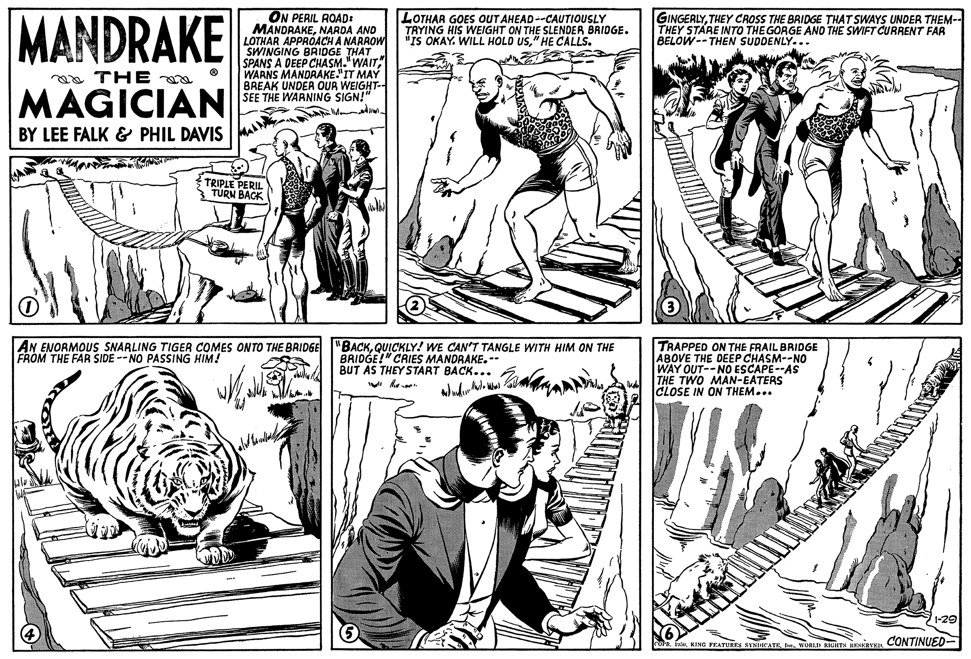 Style OCR: MANDRAKE ON PERIL ROAD: MANDRAKENARDA AND LOTHAR APPROACH A NARROW SWINGING BRIDGE THAT SPANS A DEEP CHASM."WAIT" WARNS MANDRAKE"IT MAY BREAK UNDER OUR WEIGHT- SEE THE WARNING SIGN!" LOTHAR GOES OUT AHEAD--CAUTIOUSLY TRYING HIS WEIGHT ON THE SLENDER BRIDGE. "IS OKAY. WILL HOLD US" HE CALLS. GINGERLYTHEY CROSS THE BRIDGE THAT SWAYS UNDER THEM-- THEY STARE INTO THE GORGE ANO THE SWIFT CURRENT FAR BELOW--THEN SUDDENLY... aa THE MAGICIAN BY LEE FALK & PHIL DAVIS TRIPLE PERIL TURN BACK TRAPPED ON THE FRAIL BRIDGE ABOVE THE DEEP CHASM--NO WAY OUT--NO ESCAPE--AS THE TWO MAN-EATERS CLOSE IN ON THEM... AN ENORMOUS SNARLING TIGER COMES ONTO THE BRIDGE "BACKQUICKLY! WE CAN'T TANGLE WITH HIM ON THE FROM THE FAR SIDE --NO PASSING HIM! BRIDGE!" CRIES MANDRAKE.-- BUT AS THEY START BACK... i he 1-29 n. KING PEATURES SYNICATEb. woRLn RIGHTH EENERVER CONTINUED MANDRAKE ON PERIL ROAD: MANDRAKENARDA AND LOTHAR APPROACH A NARROW SWINGING BRIDGE THAT SPANS A DEEP CHASM."WAIT" WARNS MANDRAKE"IT MAY BREAK UNDER OUR WEIGHT- SEE THE WARNING SIGN!" LOTHAR GOES OUT AHEAD--CAUTIOUSLY TRYING HIS WEIGHT ON THE SLENDER BRIDGE. "IS OKAY. WILL HOLD US" HE CALLS. GINGERLYTHEY CROSS THE BRIDGE THAT SWAYS UNDER THEM-- THEY STARE INTO THE GORGE ANO THE SWIFT CURRENT FAR BELOW--THEN SUDDENLY... aa THE MAGICIAN BY LEE FALK & PHIL DAVIS TRIPLE PERIL TURN BACK TRAPPED ON THE FRAIL BRIDGE ABOVE THE DEEP CHASM--NO WAY OUT--NO ESCAPE--AS THE TWO MAN-EATERS CLOSE IN ON THEM... AN ENORMOUS SNARLING TIGER COMES ONTO THE BRIDGE "BACKQUICKLY! WE CAN'T TANGLE WITH HIM ON THE FROM THE FAR SIDE --NO PASSING HIM! BRIDGE!" CRIES MANDRAKE.-- BUT AS THEY START BACK... i he 1-29 n. KING PEATURES SYNICATEb. woRLn RIGHTH EENERVER CONTINUED